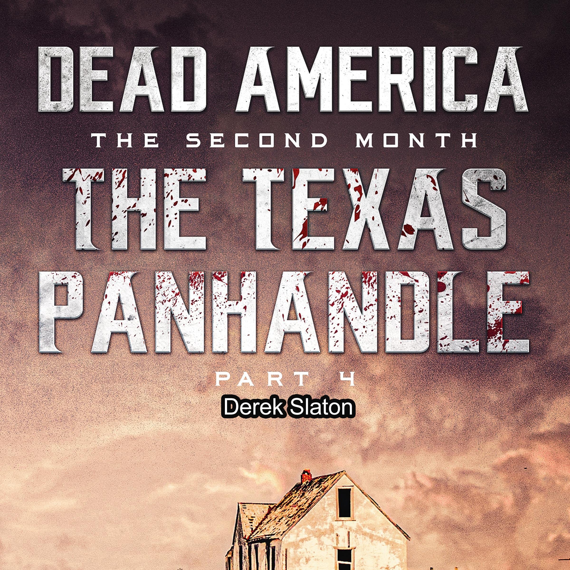 Cover art for Dead America, The Texas Panhandle, Pt. 4