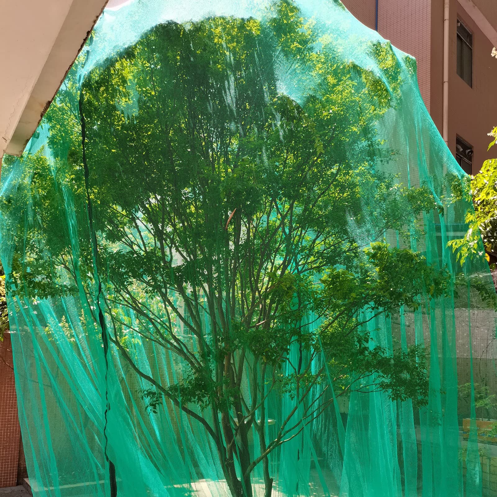 Generisch Robustes Garten-Rankgitter mit Vogelschutz für Erdbeeren, Blaubeeren, Hühnerställe und Gewächshäuser (1,8 x 20 Fuß / 5,9 x 66 Fuß), langlebig, UV-beständig, einfach zu montieren