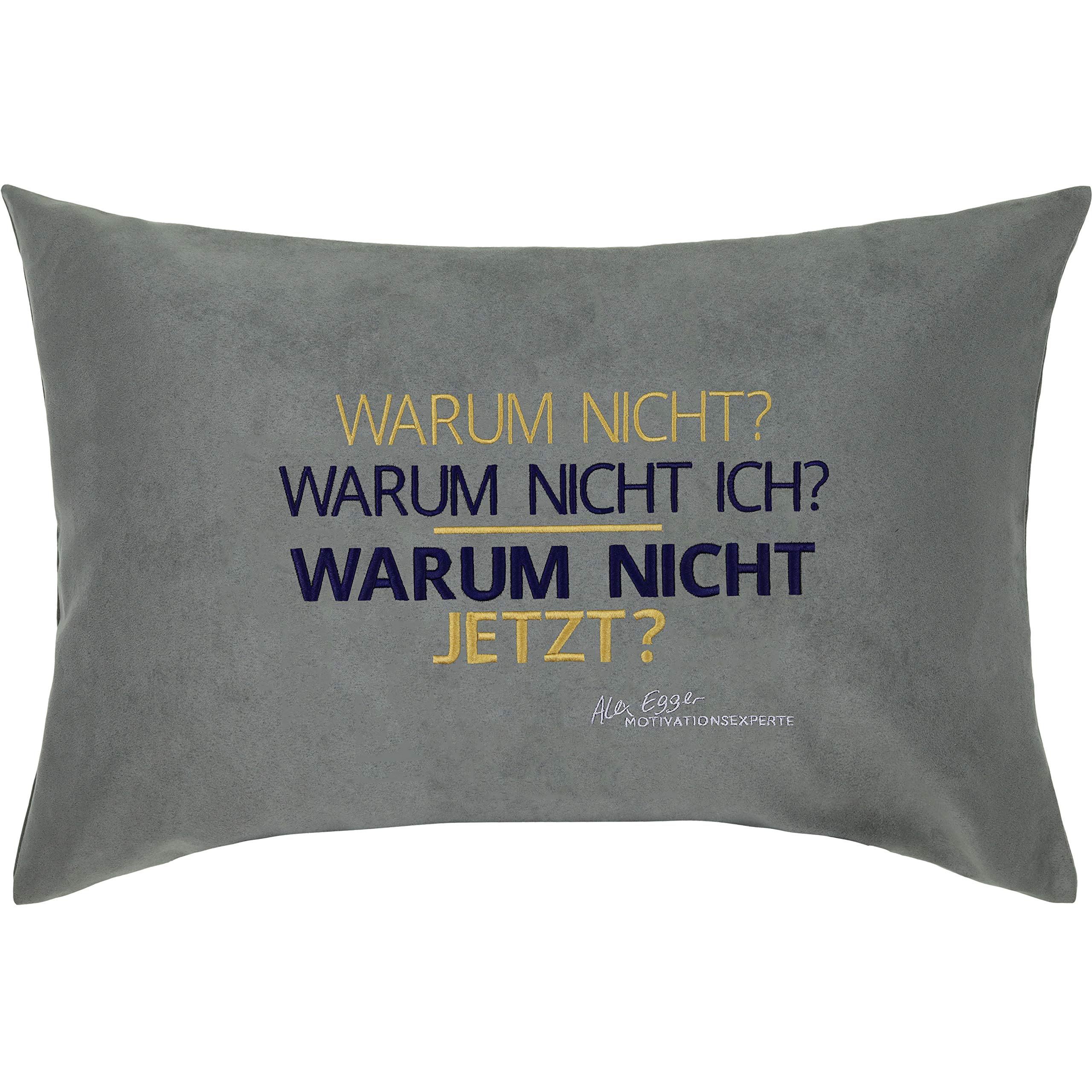 Coussin de motivation Alexander Egger #LTIDA, le cadeau idéal pour collègue