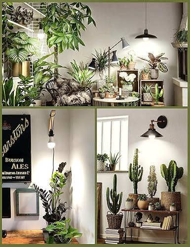 Miniatura 6 de Bombillas de Crecimiento, Bombilla de Luz de Crecimiento A19, Bombilla de Luz de Espectro Completo, Bombillas de Luz para Plantas E26 Base,