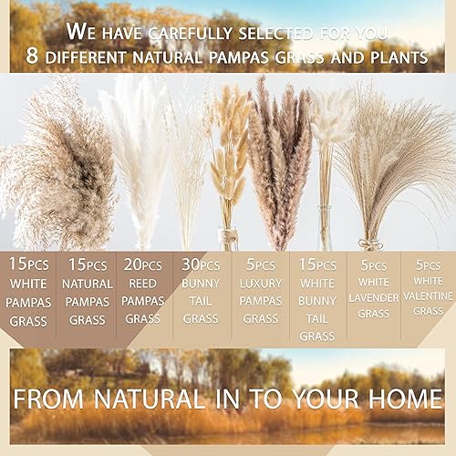 Miniatura 5 de Ramo de flores secas naturales de las pampas, ramo bohemio para decoración del hogar, ramo de flores secas para bodas, arreglos florales, decoración