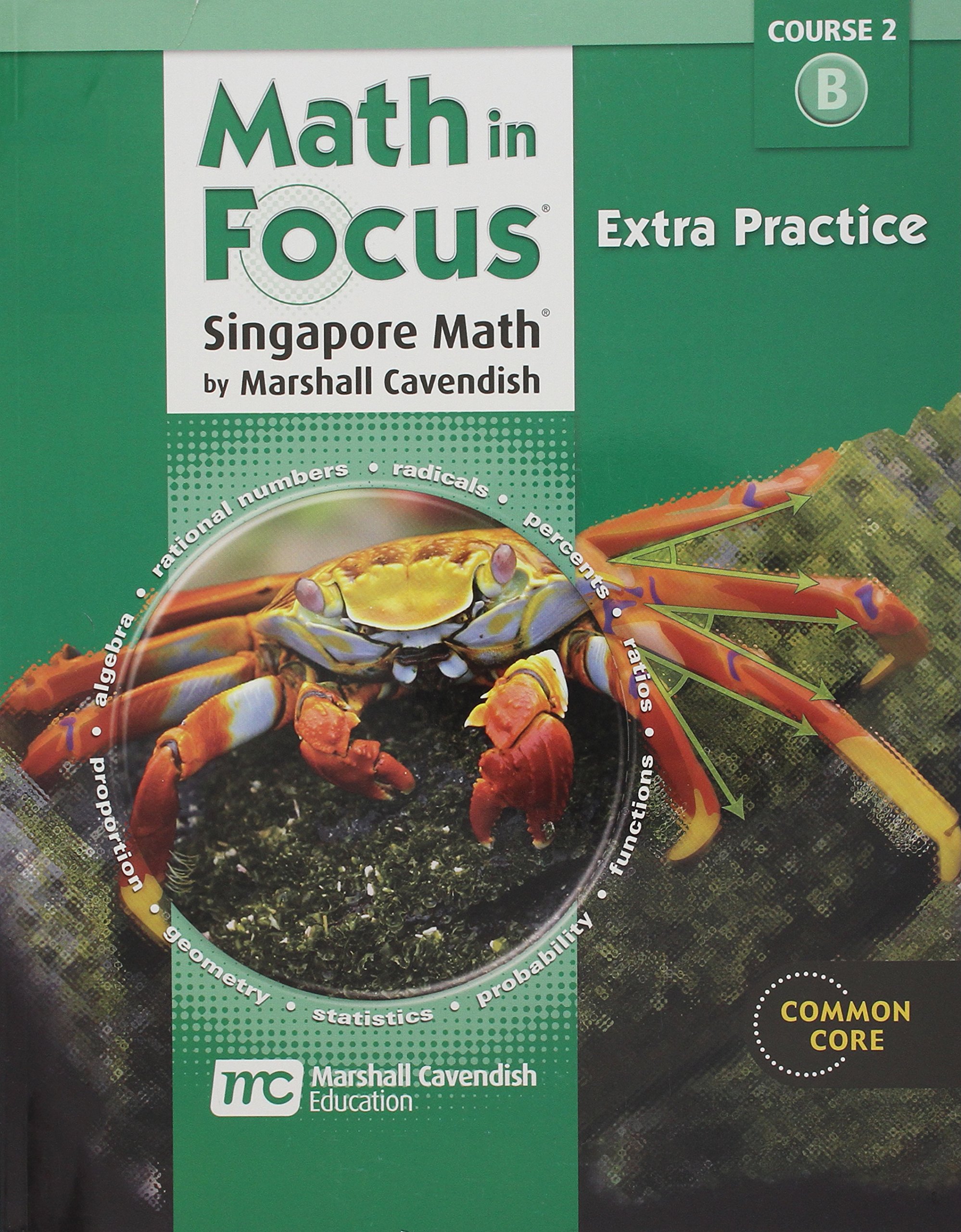 Extra Practice Book, Volume B Course 2 (Math in Focus: Singapore Math)