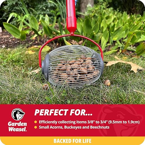 Miniatura 5 de Garden Weasel Nut Gatherer 95314 - Rodillo mediano para patio, recoge nueces, bellotas grandes, bolas de chicle dulce, nueces de nogal y más de 0.75