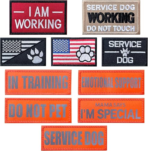 J.CARP 10 parches para perros de servicio, con texto en inglés Don't Pet in Training Do Not Touch I'm Special, emblema bordado completo para perros,