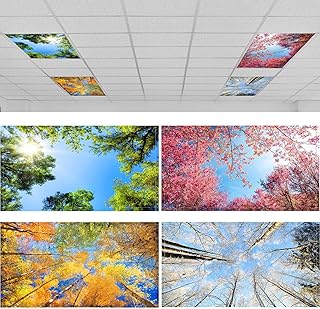 Fluorescent Light Covers For Ceiling Lights Picks collage image 2