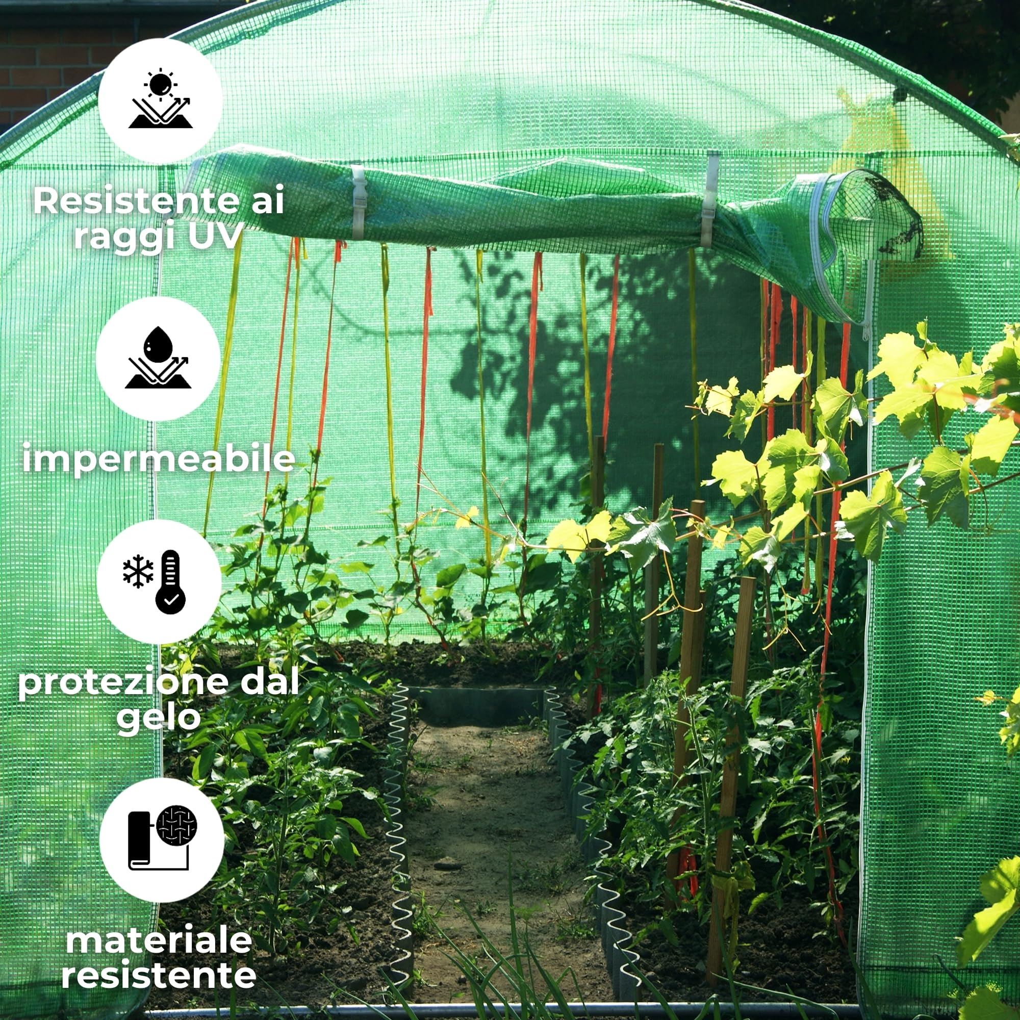 SPRINGOS serra con tetto ad arco 200 x 200 x 200 cm