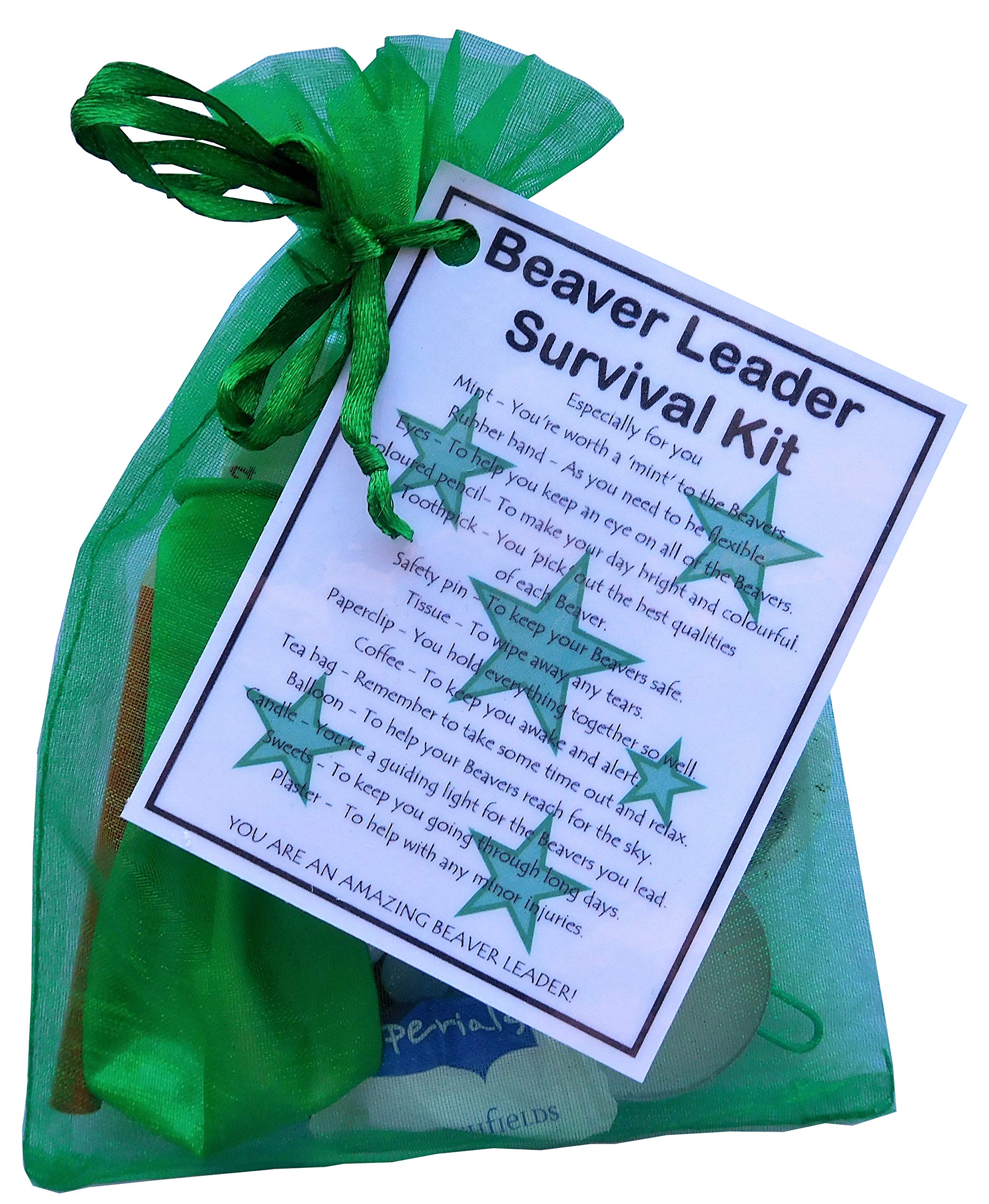 Smile Gifts Uk Green Beaver Leader Survival Kit Gift (Great Present For Christmas, End Of Term, Leaving Gift, Thank You Gift Or Just Because...) Beavers Scout Leader Gift, Gift For New Beaver Leader