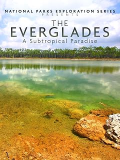 National Parks Exploration Series: The Everglades - A Subtropical Paradise