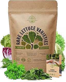 7 Lettuce Seeds Variety Pack - Non-GMO Heirloom Seeds for Planting Lettuce Hydroponic, Aerogarden, Indoor & Outdoors. 380...