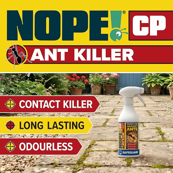 NOPE! CP Ant Killer Spray - 500ml - Spray Long-Lasting, Fast Acting for Indoor and Outdoor use - 2