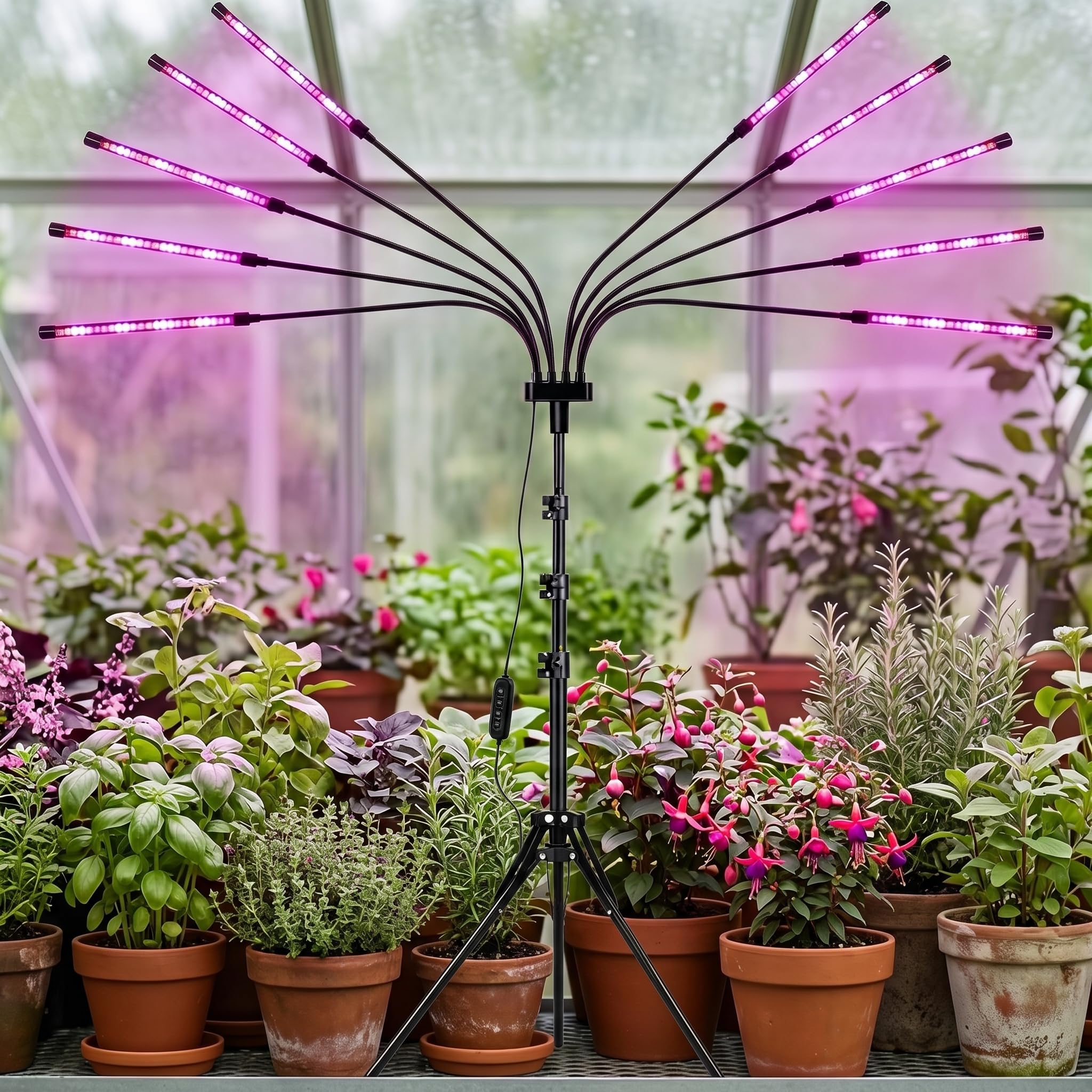 LED Pflanzenlampe 10-in-1, Vollspektrum Grow Light mit Stativ, Zeitschaltuhr 4/8/12H (Auto Ein/Aus), Pflanzenleuchte für Zimmerpflanzen