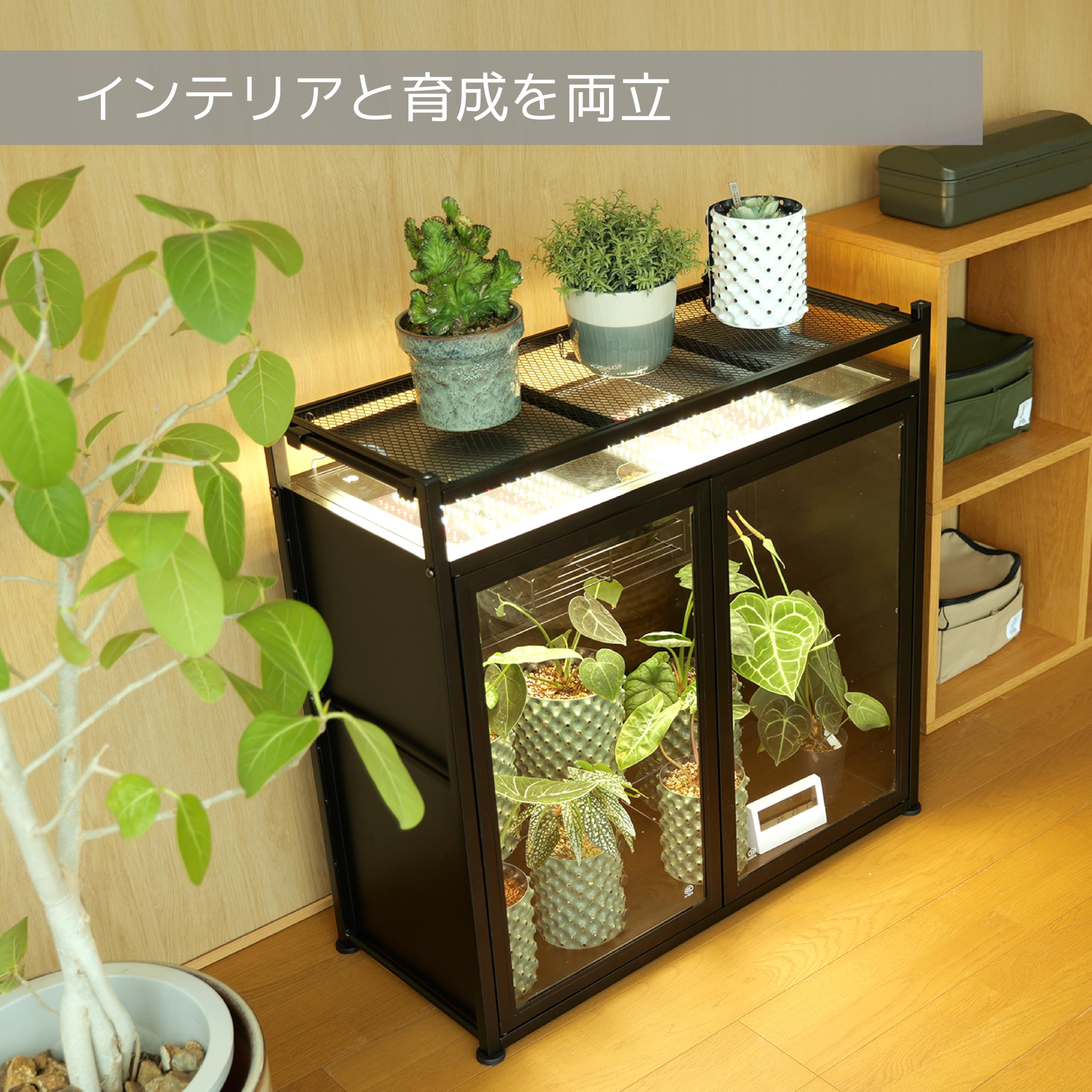 Amazon.co.jp: BIBILAB(ビビラボ) ビザールプランツラック