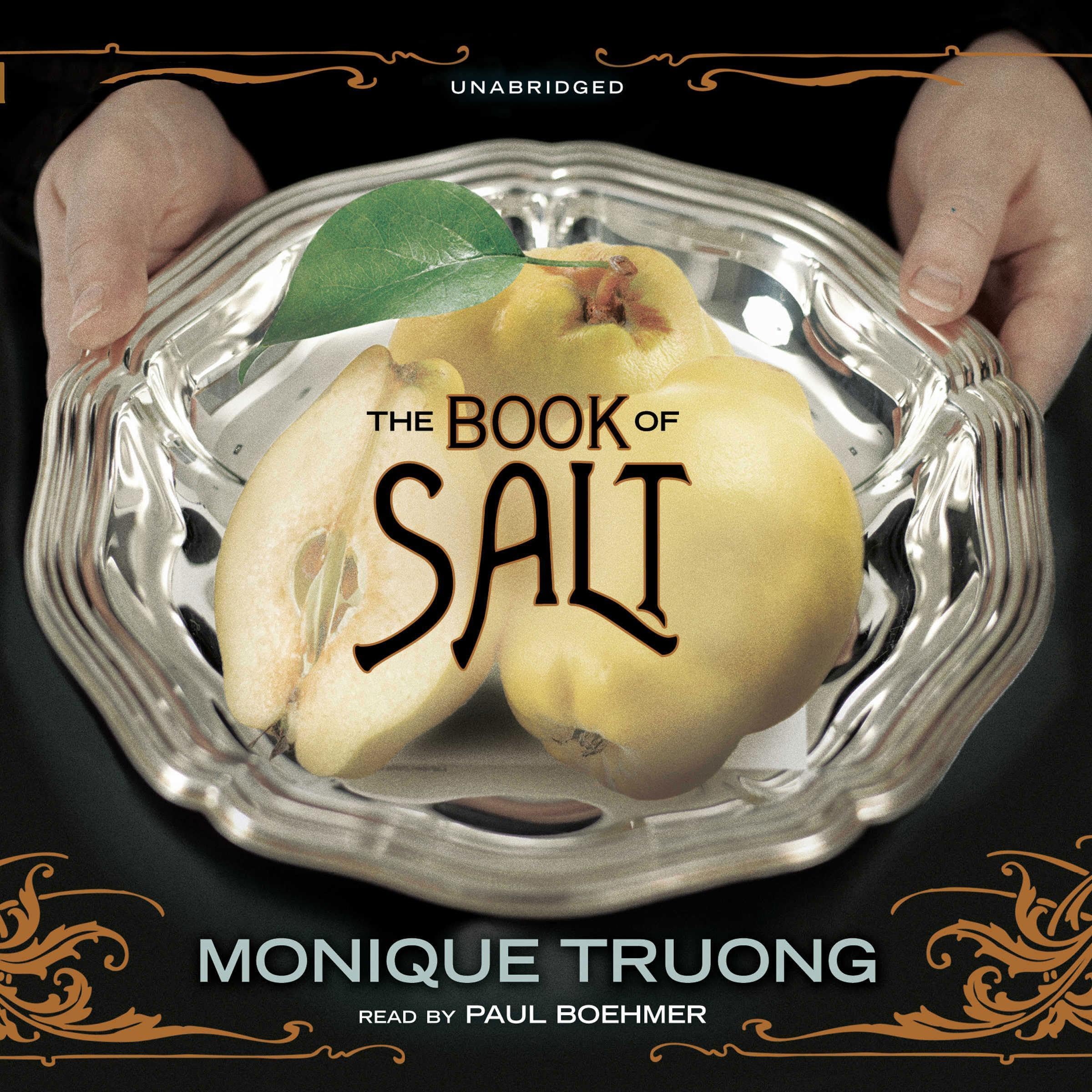 Cover art for The Book of Salt