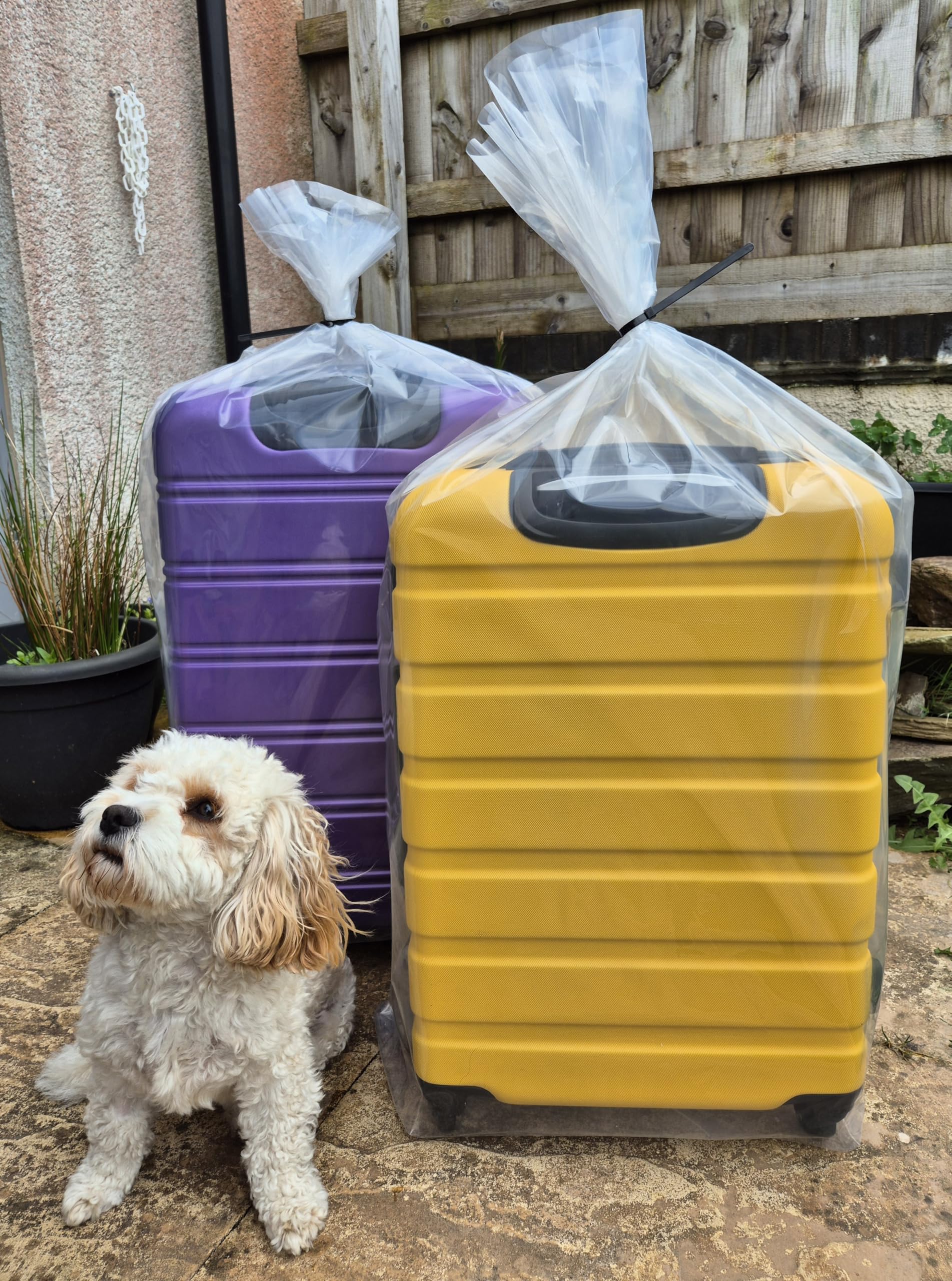 Sacchetti Grandi E Trasparenti FOGG Supplies,100 Sacchetti Con