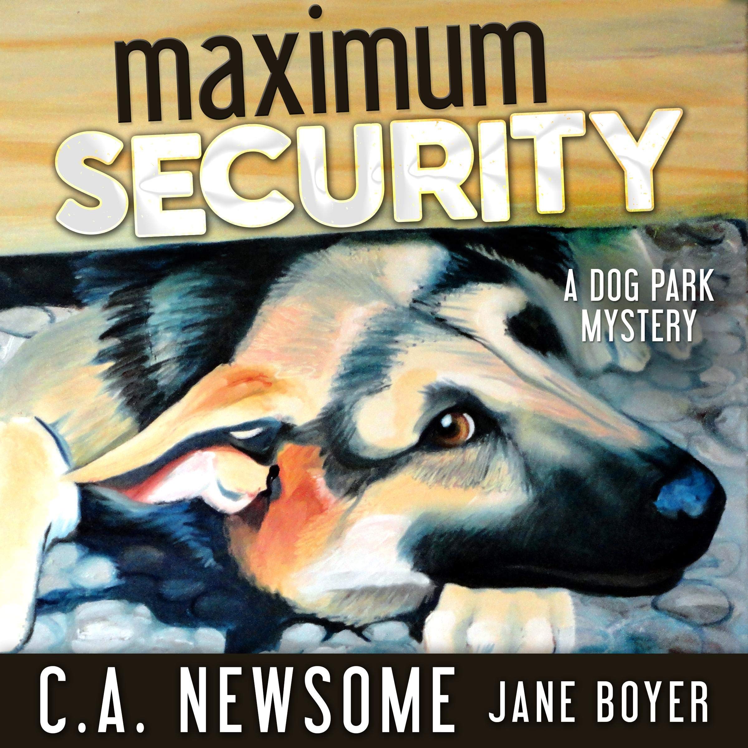 Maximum Security