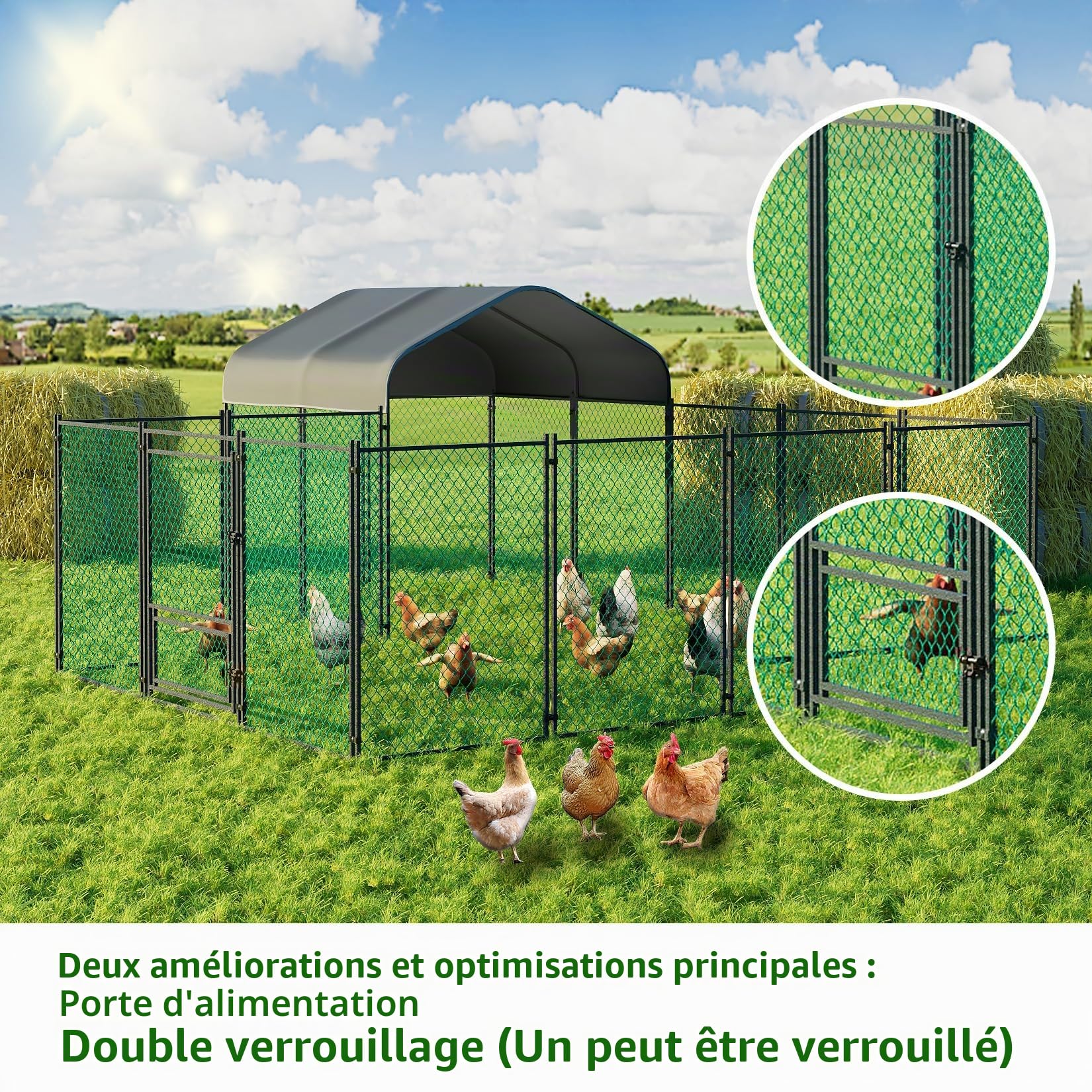 BingoPaw Poulailler Enclos Extérieur 10 m², Parc à Poules Grillagé Cage à Poule Grande Taille Cadre en Acier Galvanisé avec Bâche