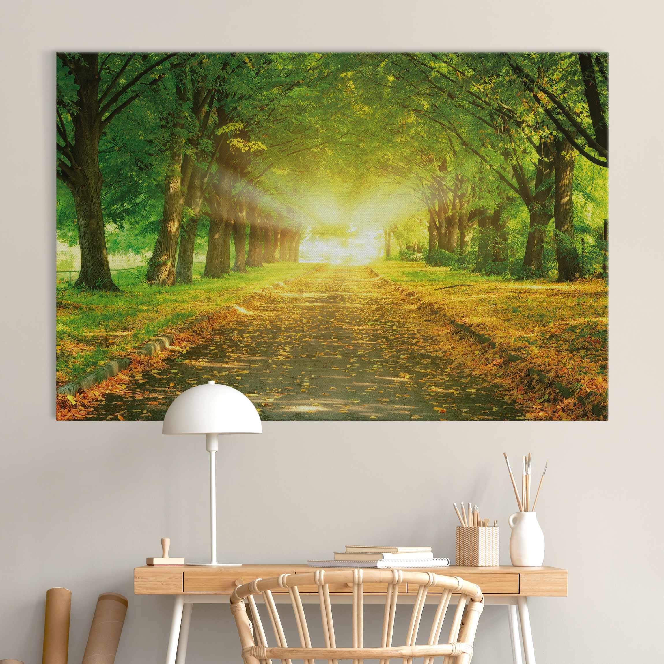 micasia Akustikbild Wald Bäume Natur Schallschutzbild 4cm Keilrahmen & Schallabsorber - Baum Modern grün Wohnzimmer Schlafzimmer Bild für bessere Raumakustik 1672 (150x100cm)