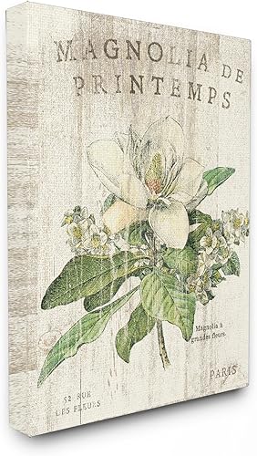 Stupell Industries Lienzo decorativo para pared, diseño de magnolias francesas en primavera, fabricado con orgullo en Estados Unidos, diseñado por