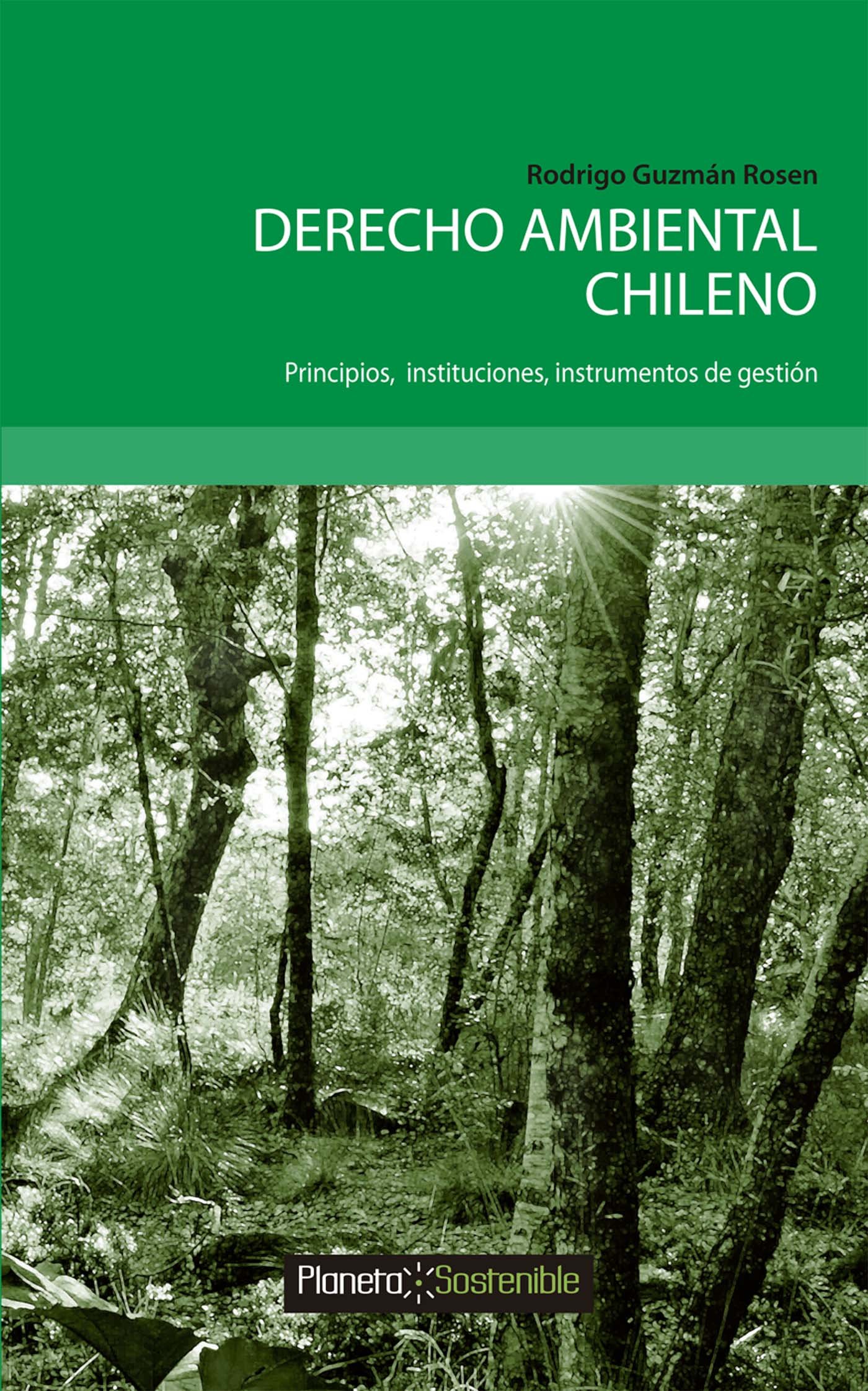 Derecho Ambiental Chileno: Principios; instituciones; instrumentos de gestión (Spanish Edition)