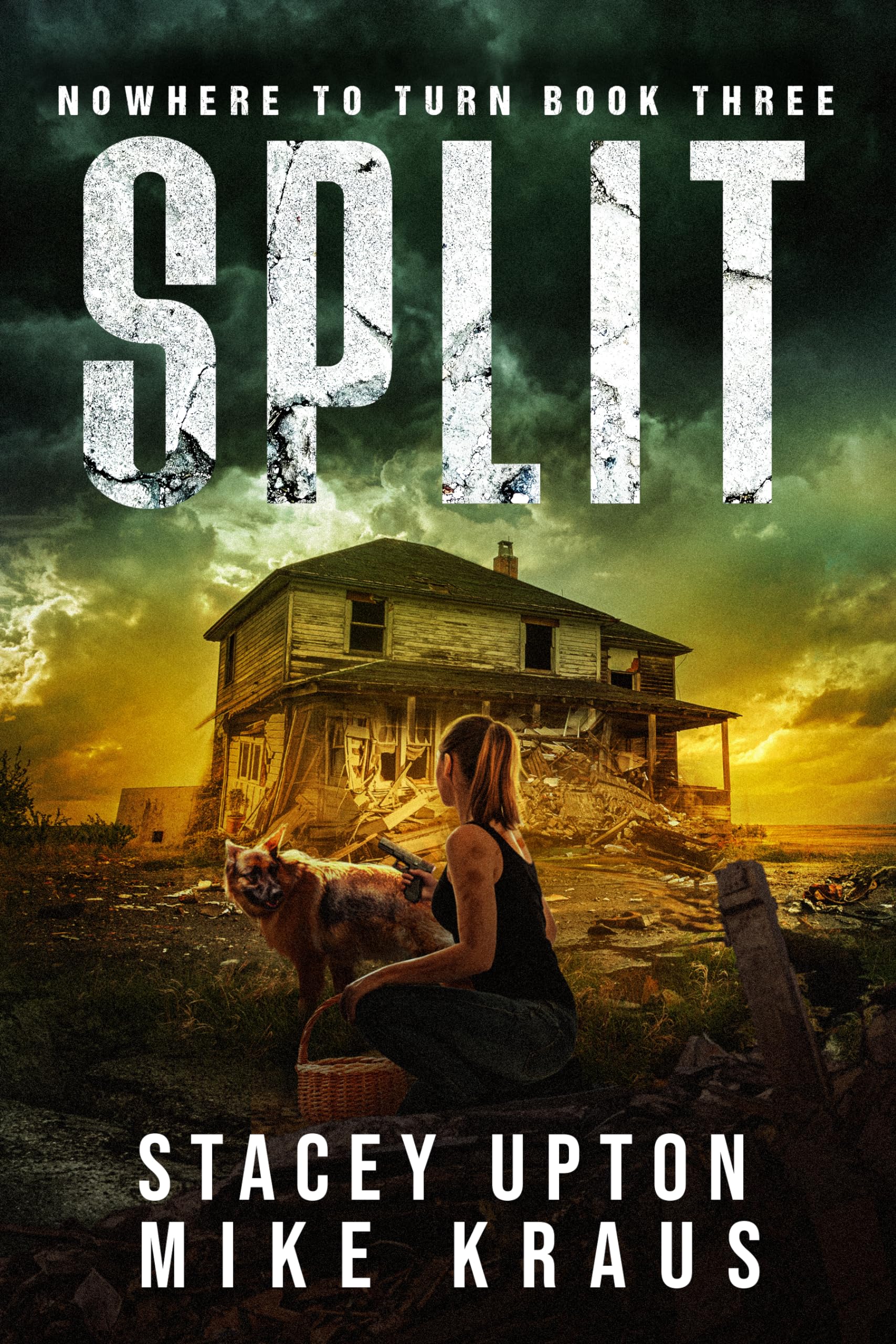 Cover of Split