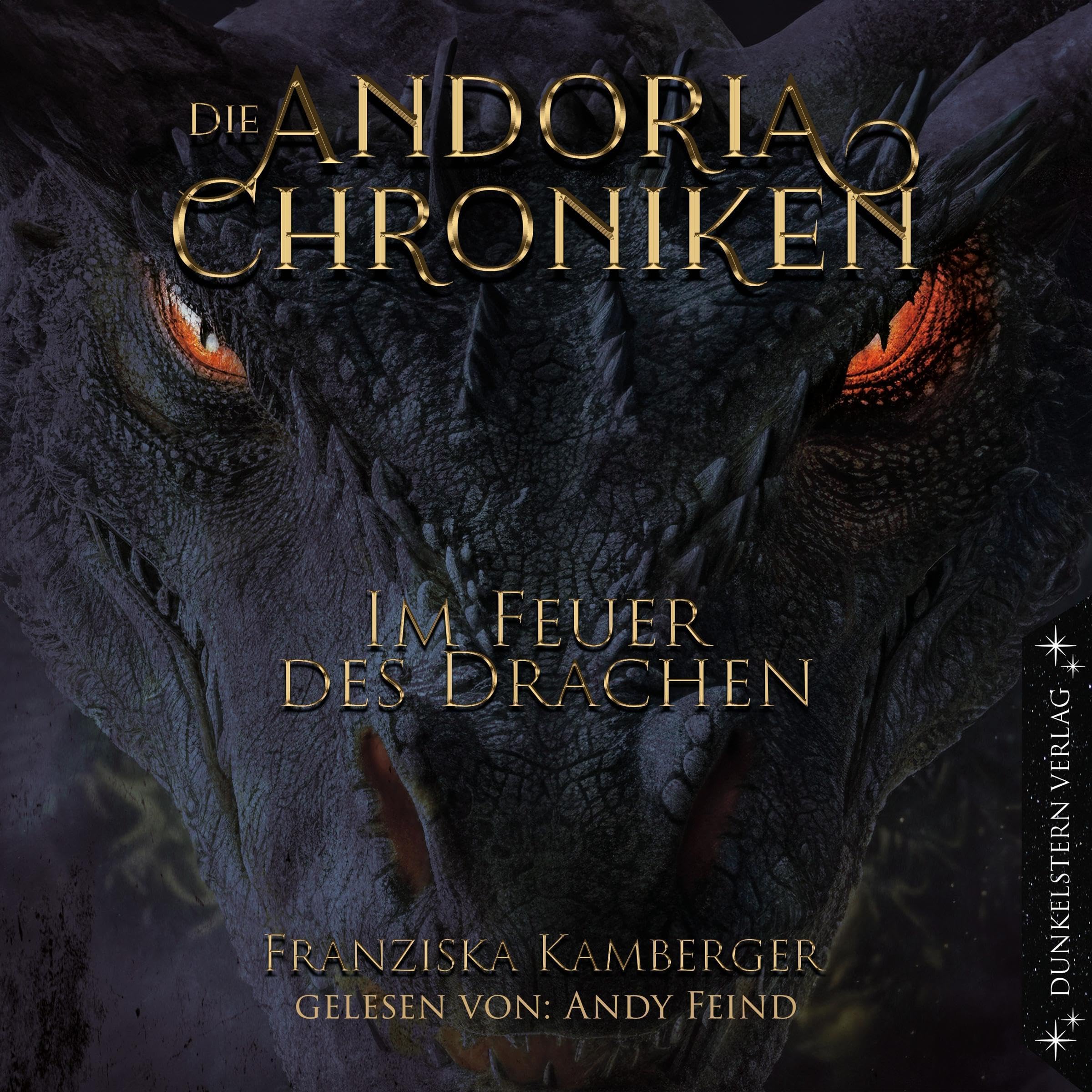 Cover art for Im Feuer des Drachen