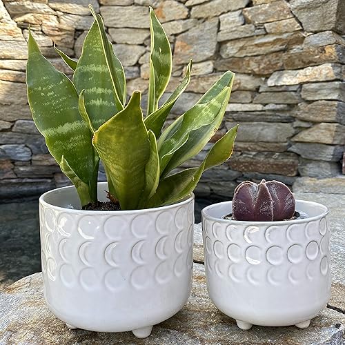 Miniatura 7 de Flora Bunda - Juego de 2 macetas de cerámica con pies (6.0pulgadas y 4.75 pulgadas), color blanco mate.