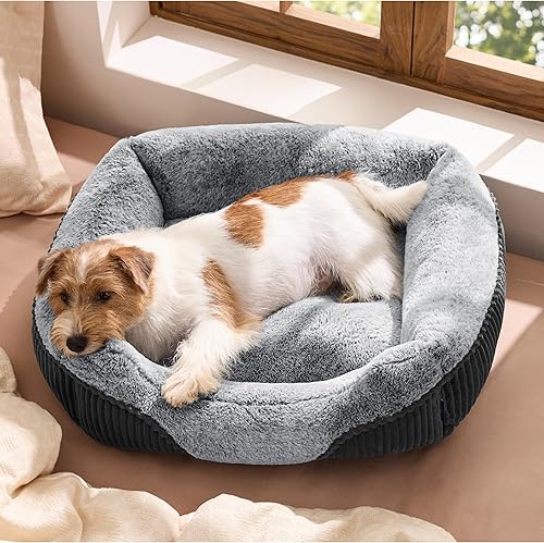 Bedsure Cama lavable para perro de tamaño pequeño y mediano  Cama rectangular de felpa esponjosa para mascotas, cómodo forro polar de pana y parte