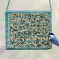 Vista 3 de Kaytee Alimento en forma de pastel de semillas para aves silvestres y gusanos de harina para azulejos, carboneros, pájaros carpinteros y más, 1.4