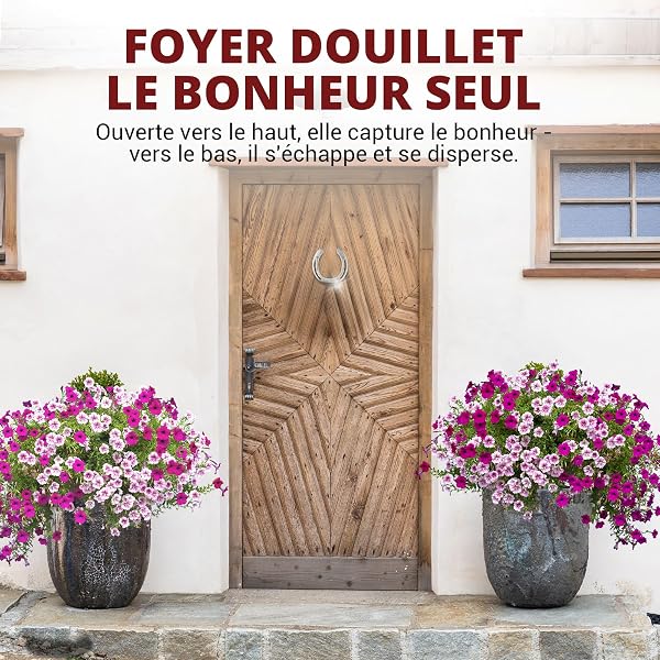 PURAJA Fer à Cheval Cadeau | Véritable Fer à Cheval porté | Porte-Bonheur pour Un Anniversaire, Un emménagement, Une fête, Un Mariage, Un baptême ou Une Naissance | avec Certificat d'authenticité - 2