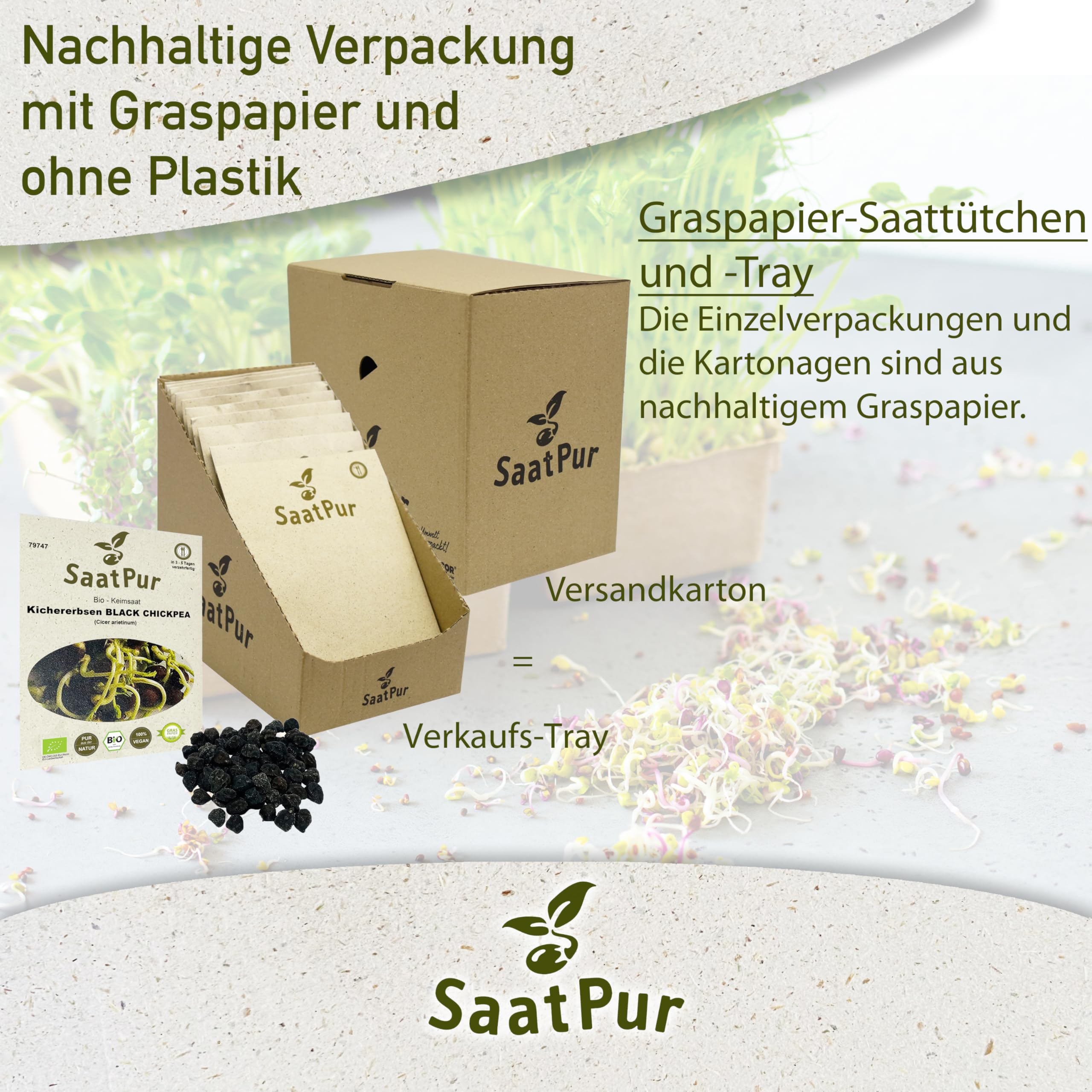 SaatPur Bio Keimsprossen - Kichererbsen Black Chickpea Sprossen, Microgreens - Kleines Tray mit 10 Portionstüten je 50g