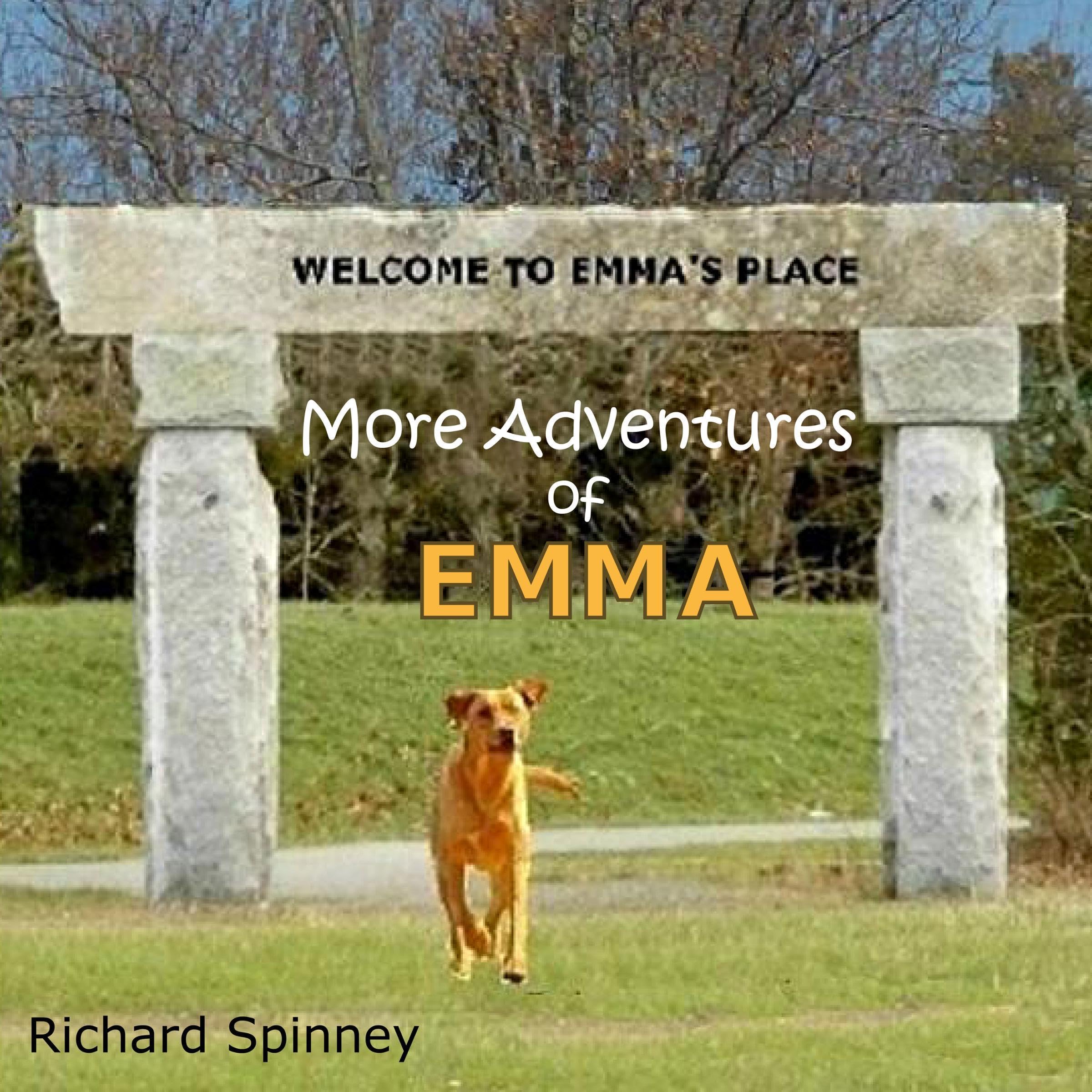 More Adventures of EMMA