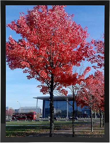 Miniatura 8 de Medog Juego de 2 portarretratos de 8.5 x 11 pulgadas, marco para certificado de diploma, portarretratos de 8.5 x 11 pulgadas, color negro