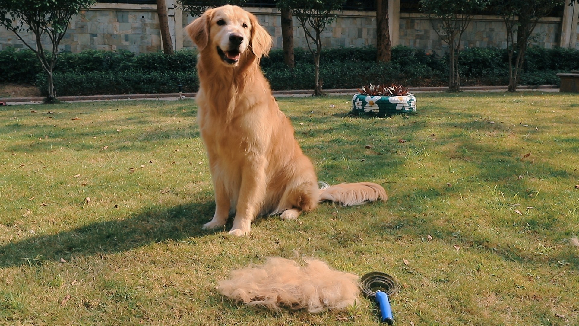CURRY ボブルヘッド CURRY ボブルヘッド Stephen Curry Vintage Bobble Heads for sale | eBay