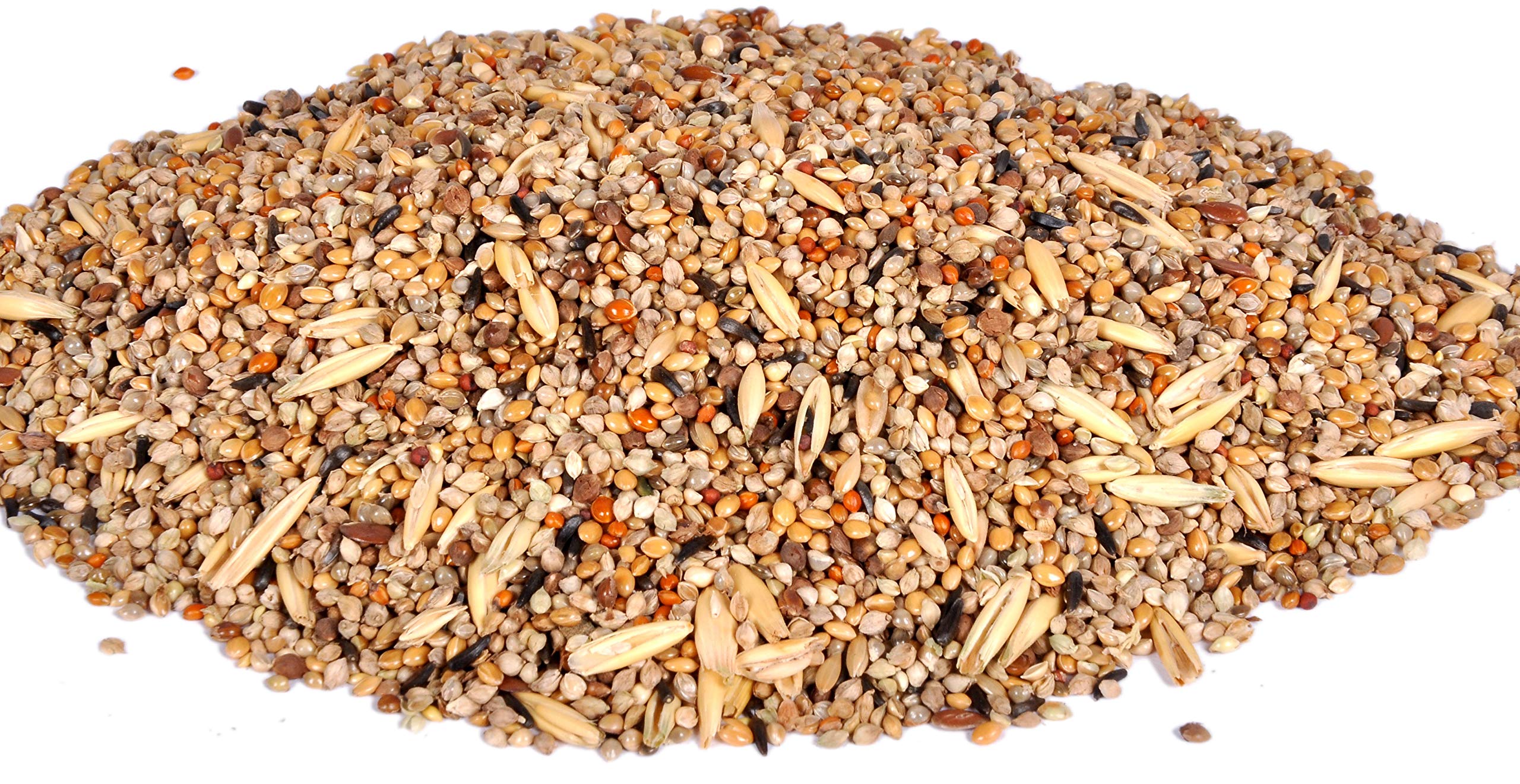 AVI Crave 11 Types of Seed Mix for Budgies, Love Birds,Cocktails and Finches,Small Birds(500 grms) (B07J3L373B) Amazon Price History, Amazon Price Tracker