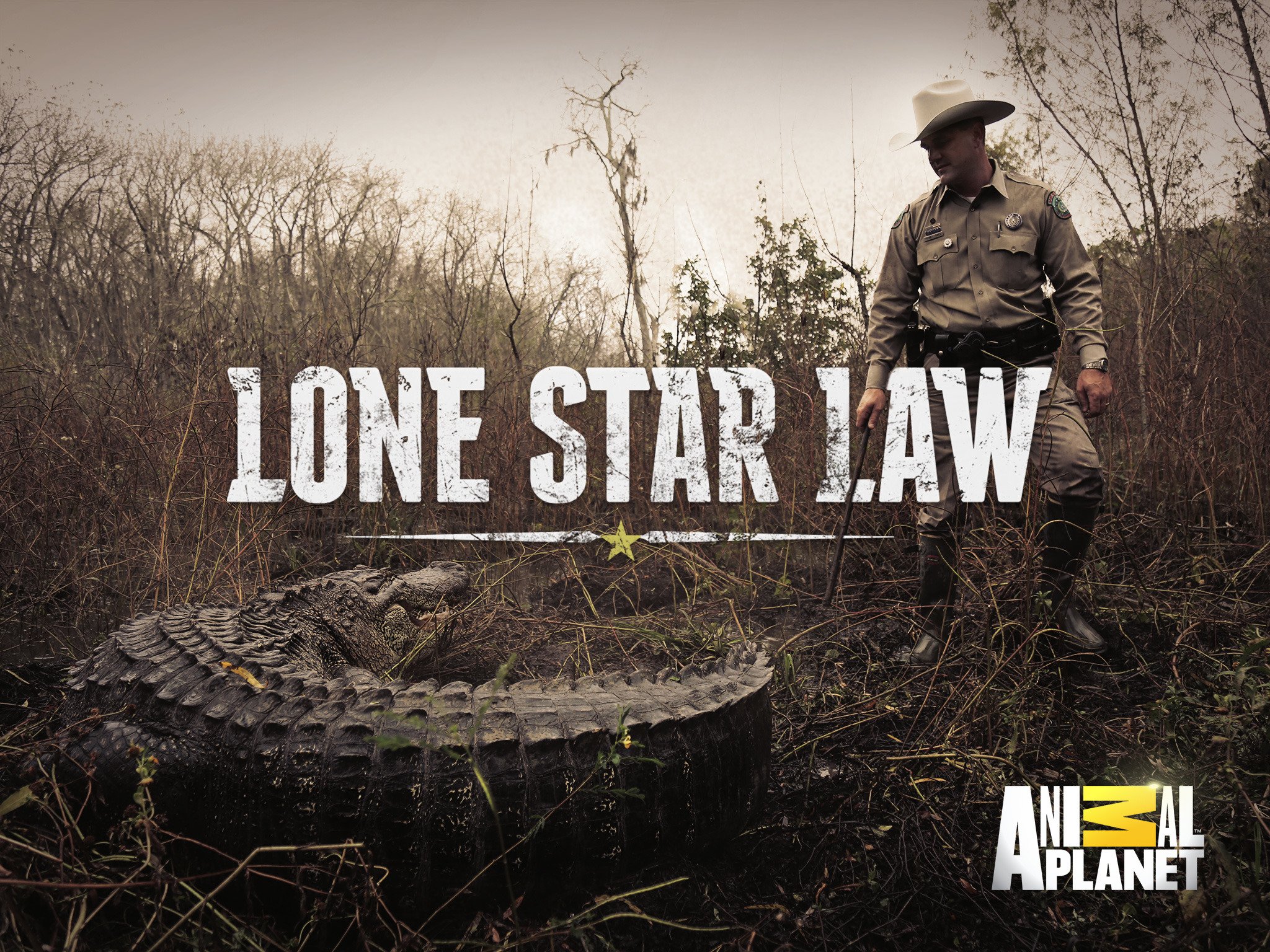 Watch Lone Star Law Season 6 | Prime Video
