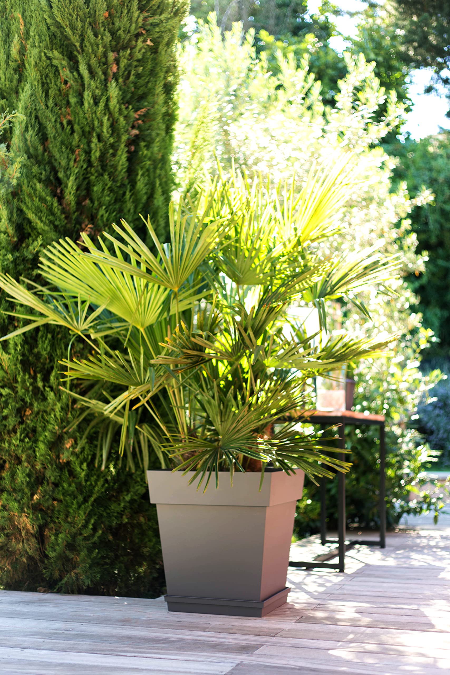 EDA - Pot de Fleur Carré Toscane 50 cm - 87 L - Intérieur & Extérieur - Zone de rétention d'eau pour Limiter l'Arrosage - Plastique Recyclé - 49,5 x 49,5 x H. 52,5 cm - Taupe