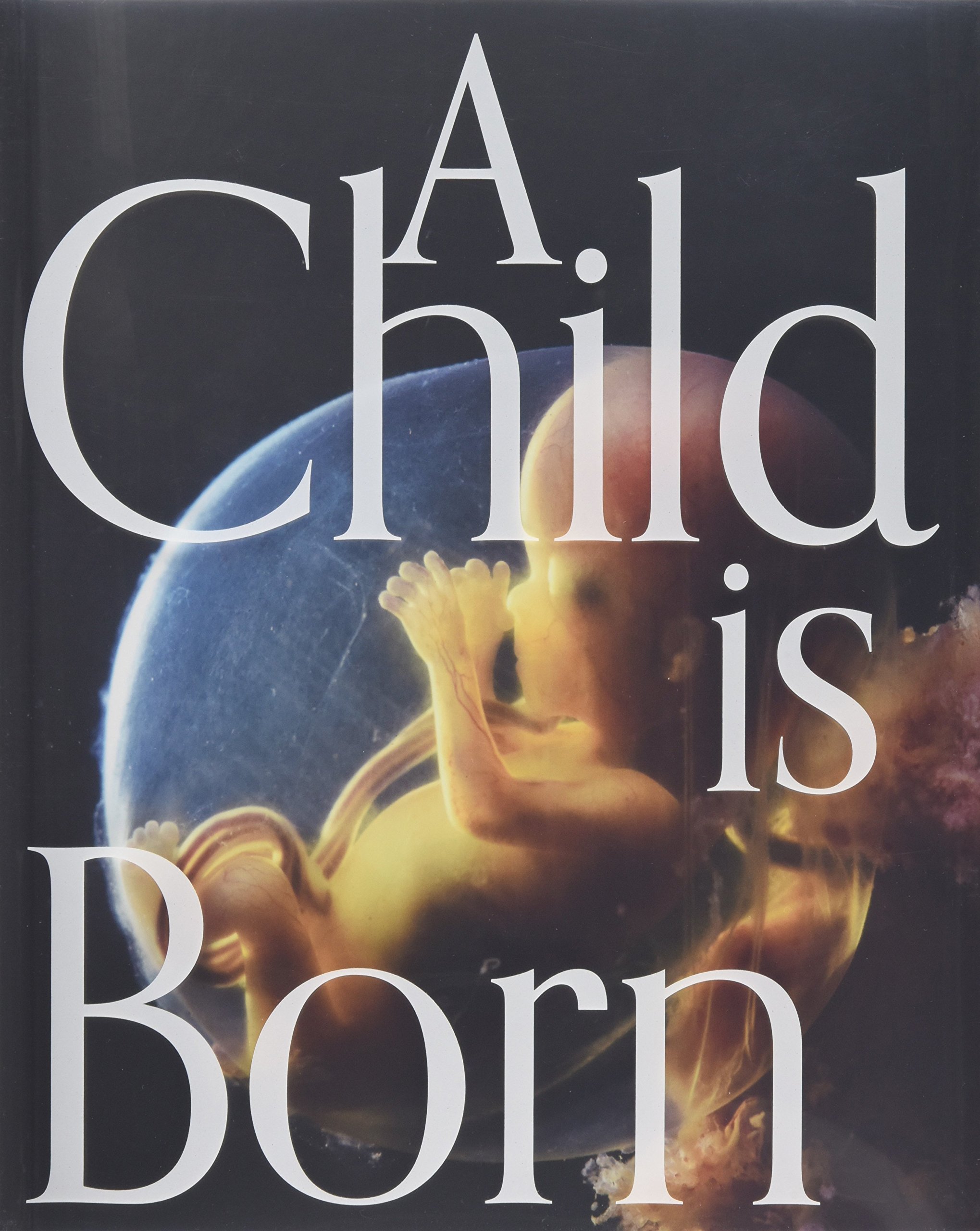 【英字版】A Child is Born 赤ちゃんの誕生 91og8xXxAOL.jpg