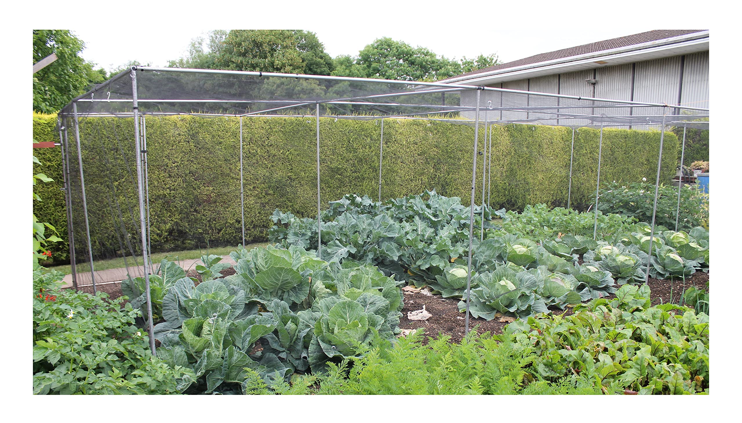 Walk in Fruit or Vegetable Cage Kit Includes Door H2 x W2 x L2 Black Soft Butterfly Netting, Pegs and Clips — image 1