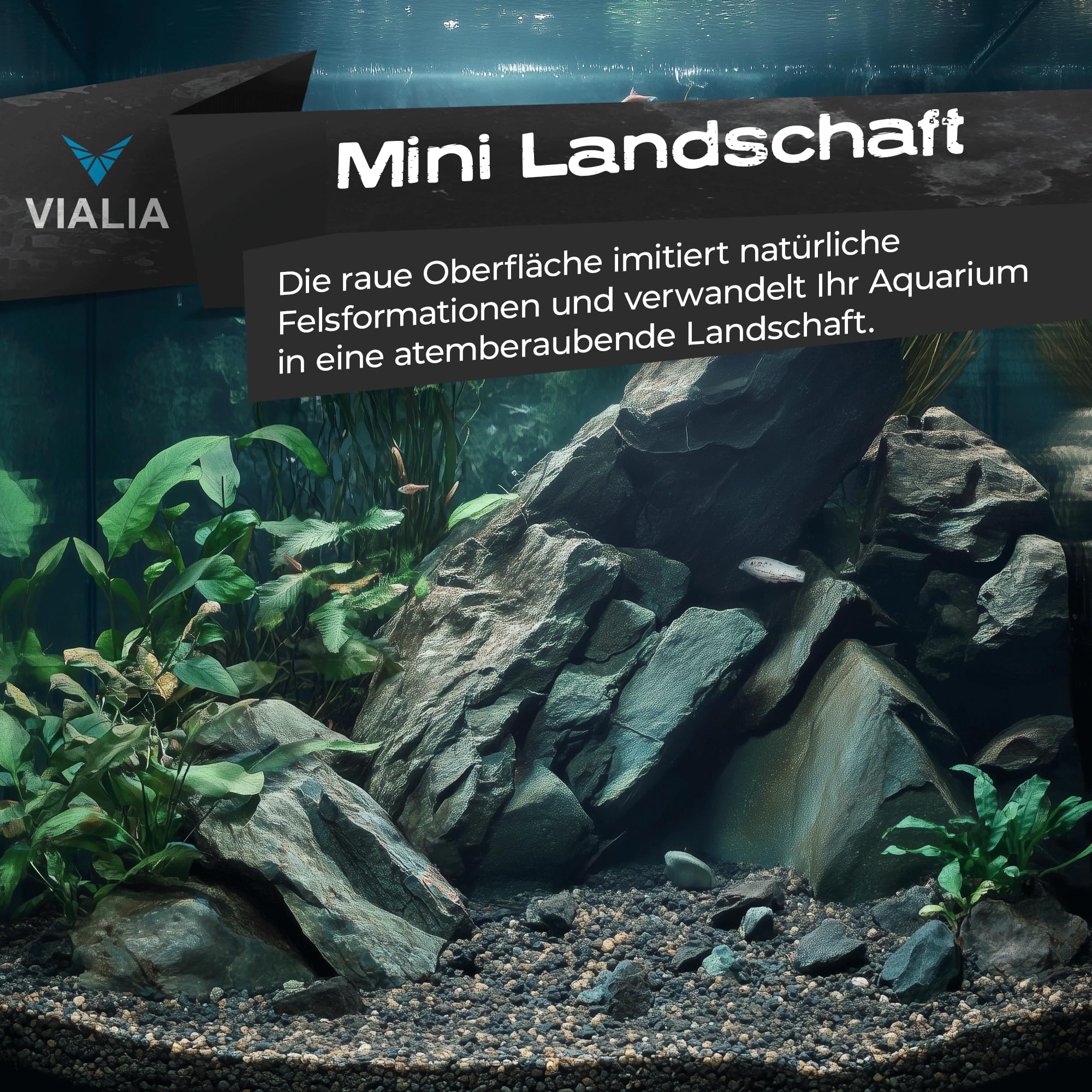 Seiryu Steine 25 kg | Mini Landschaft Aquarium Steine Mix S bis XL | Naturstein Deko für Aquascaping & Terrarium | Einzigartige Formen & Farben | Unterstützt stabiles Wasserklima