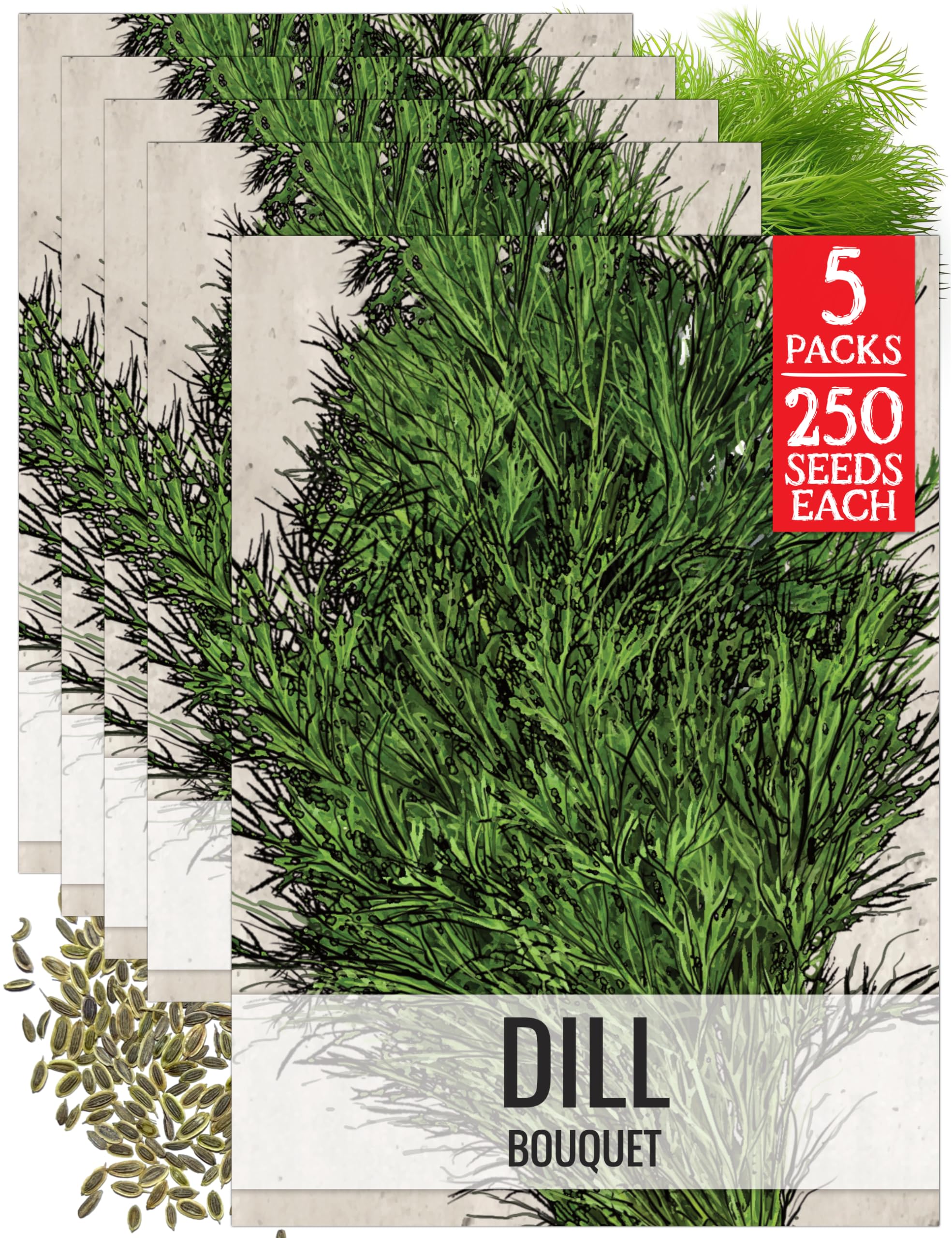 Seed Needs Dill Seeds Bouquet Herbs 5 Packs
