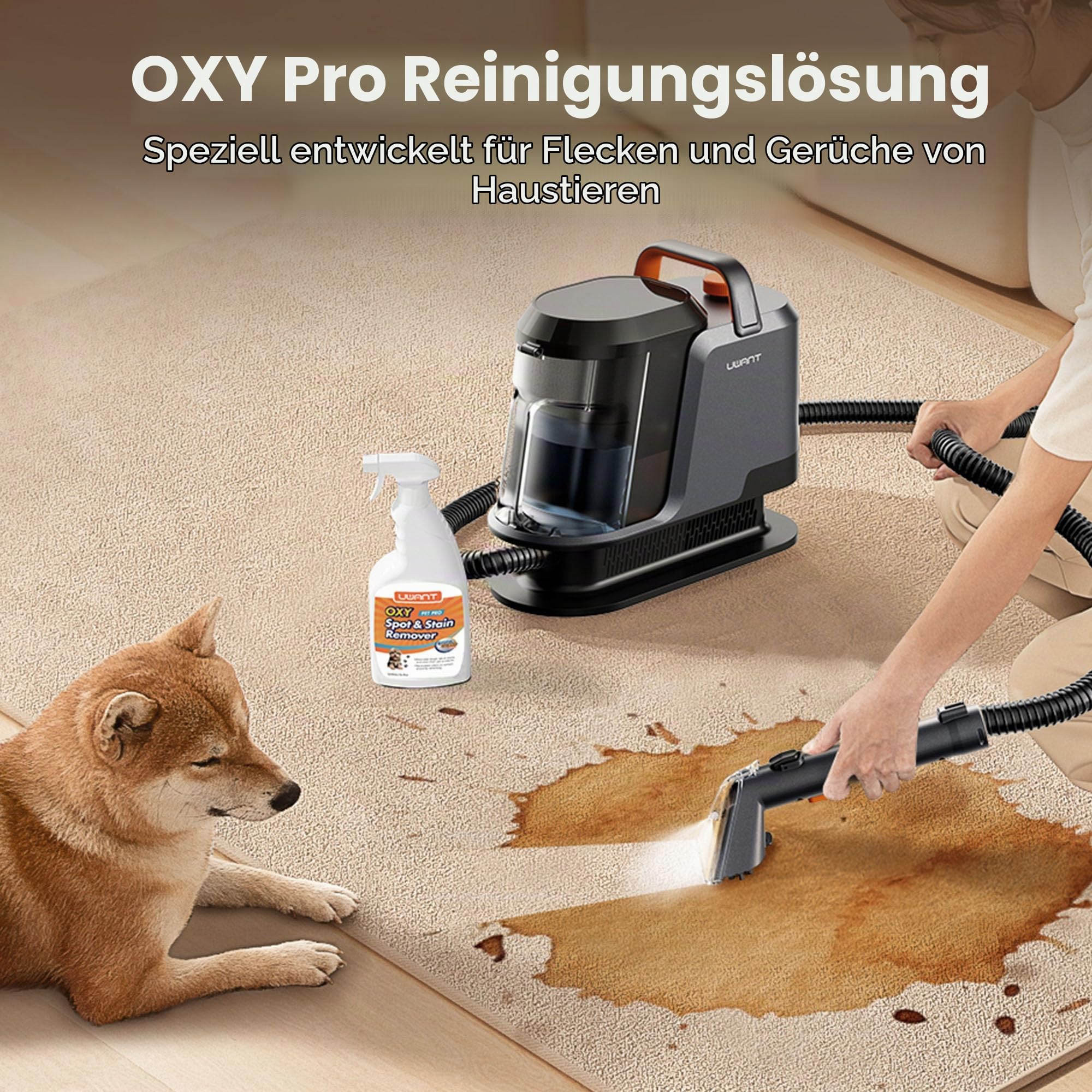 Uwant Y100Pet Polsterreiniger Gerät Mit 22Kpa Teppichreiniger Waschsauger Geräuscharm Nasssauger Teppichreiniger Für Alltägliche Flecken Und Verschmutzungen Mit Schlauch Für Teppich Sofa