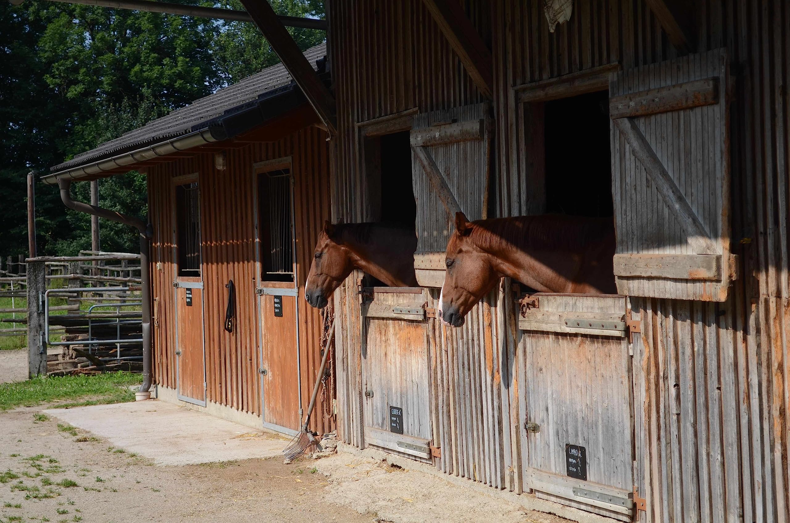 HorseGuard Maulkorb Fressbremse für Pferde mit Teddyfleece Polster, Größenvielfalt