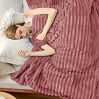 Vista 264 de Bedsure GentleSoft Twin Blanket for Couch - Cozy Soft Blankets for Women, Cute Small Fleece Throws for Girls, Light Grey, 60x80 Inches