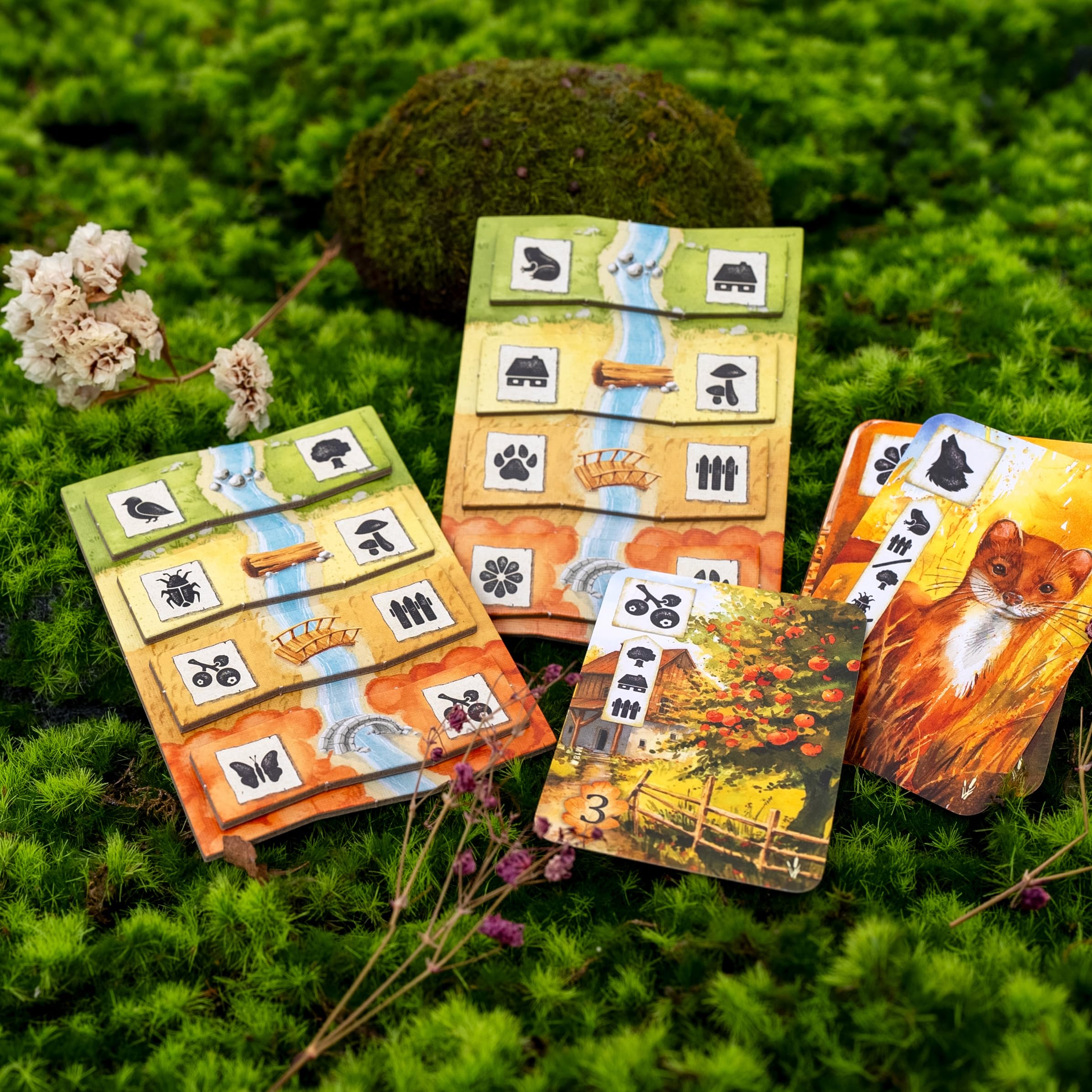Asmodee, Meadow: Adventure Book, gra planszowa Expansion, wydanie włoskie