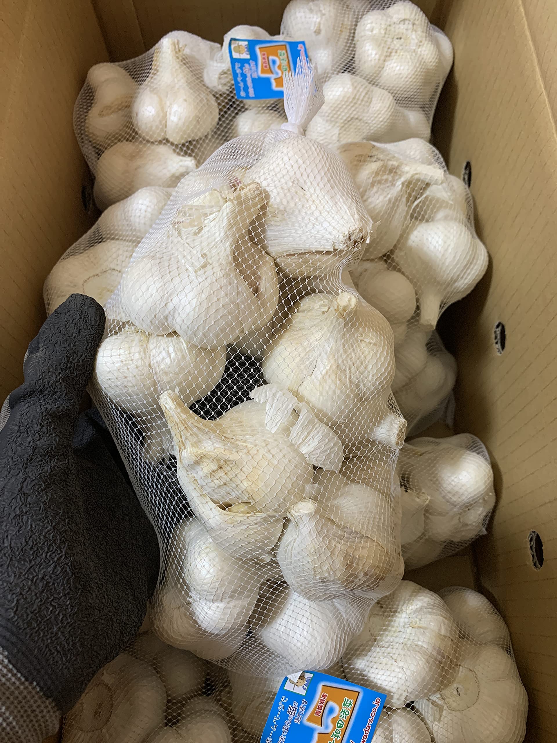 Amazon.co.jp: 青森県産ホワイト六片種にんにく 業務用にんにく1kg L 