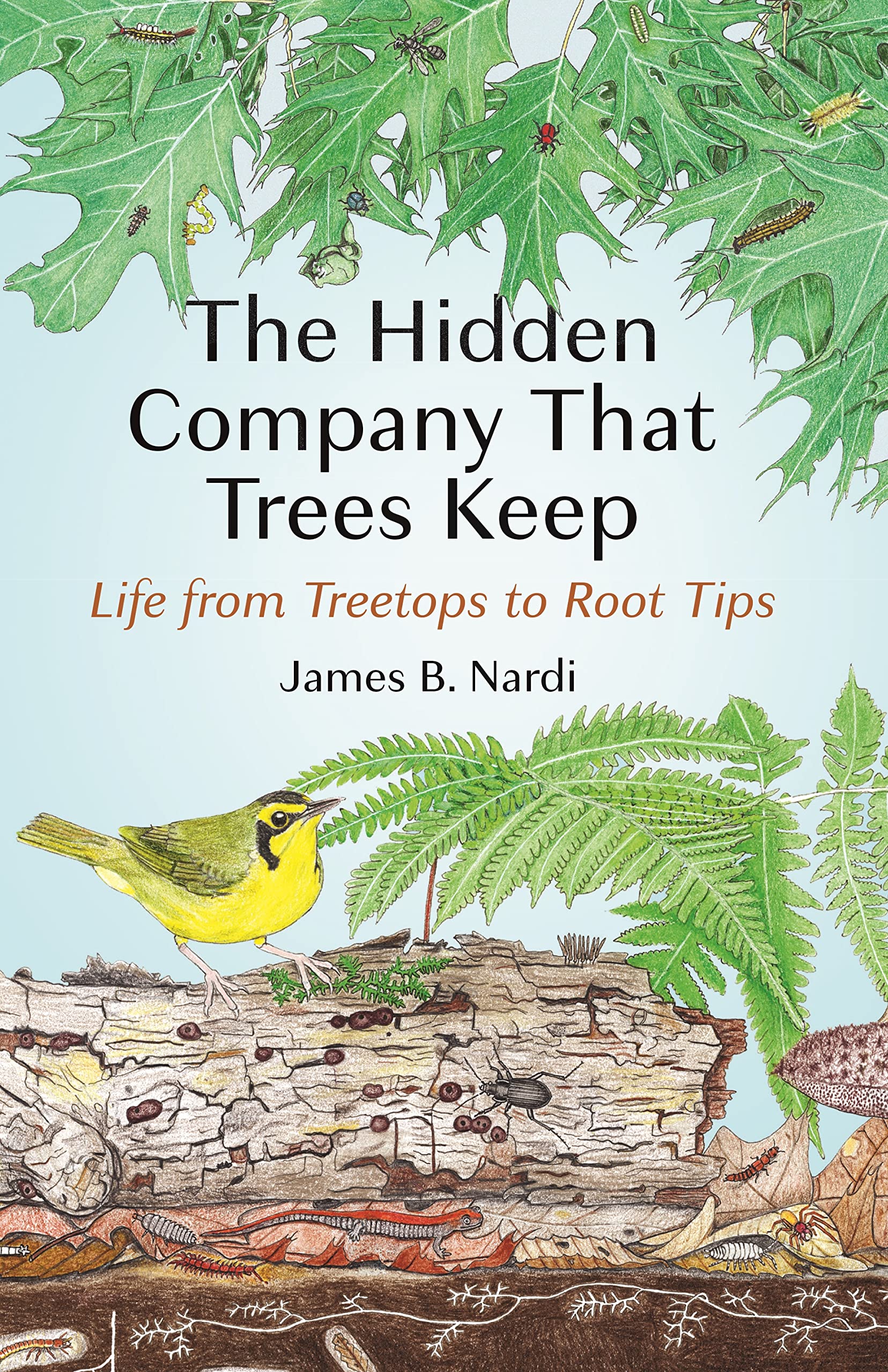 The Hidden Company That Trees Keep: Life from Treetops to Root