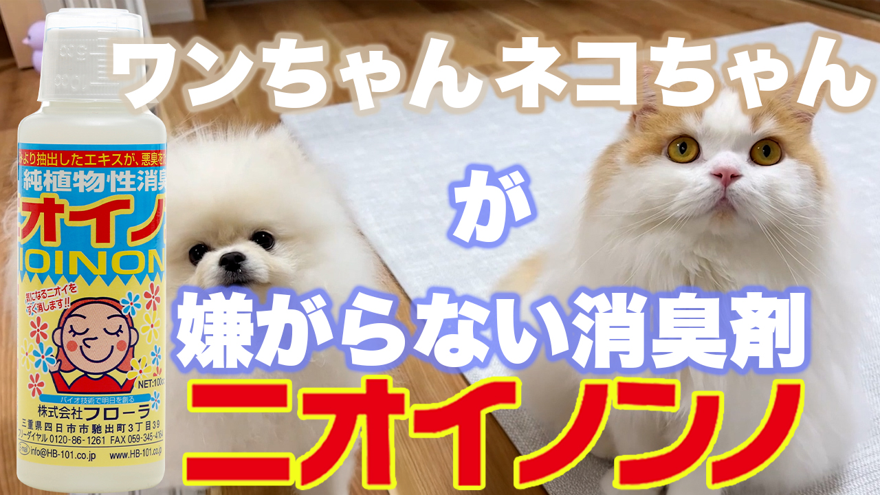 Amazon.co.jp: フローラ(Flora) 植物性消臭液 ニオイノンノ 原液6cc×4
