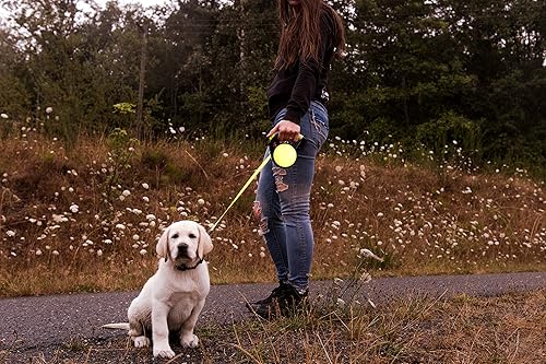Miniatura 6 de Wigzi Correa retráctil de gel reflectante, amarillo, grande