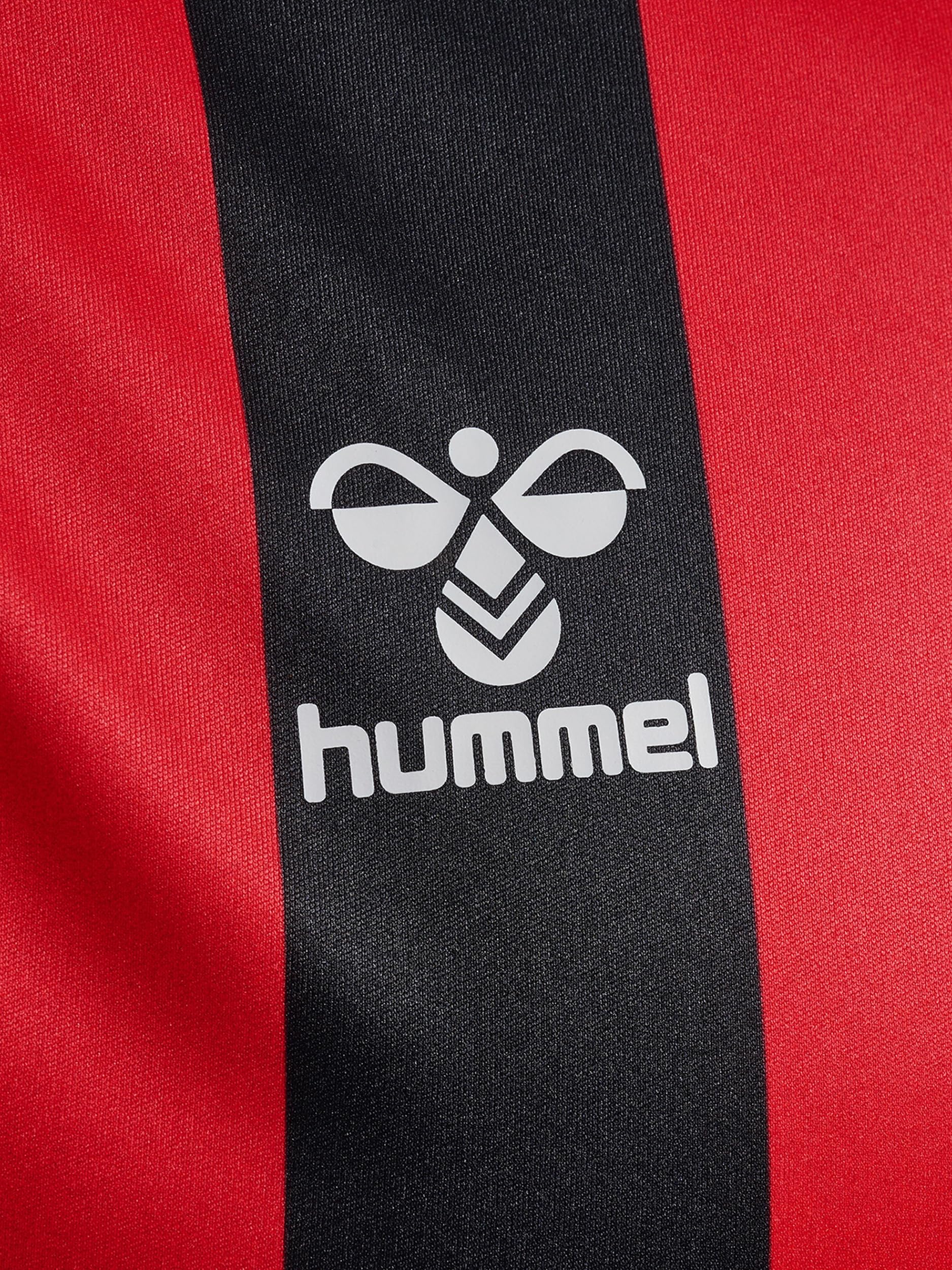 hummel T-shirt Mężczyźni Hmlcore Xk Striped Jersey S/S