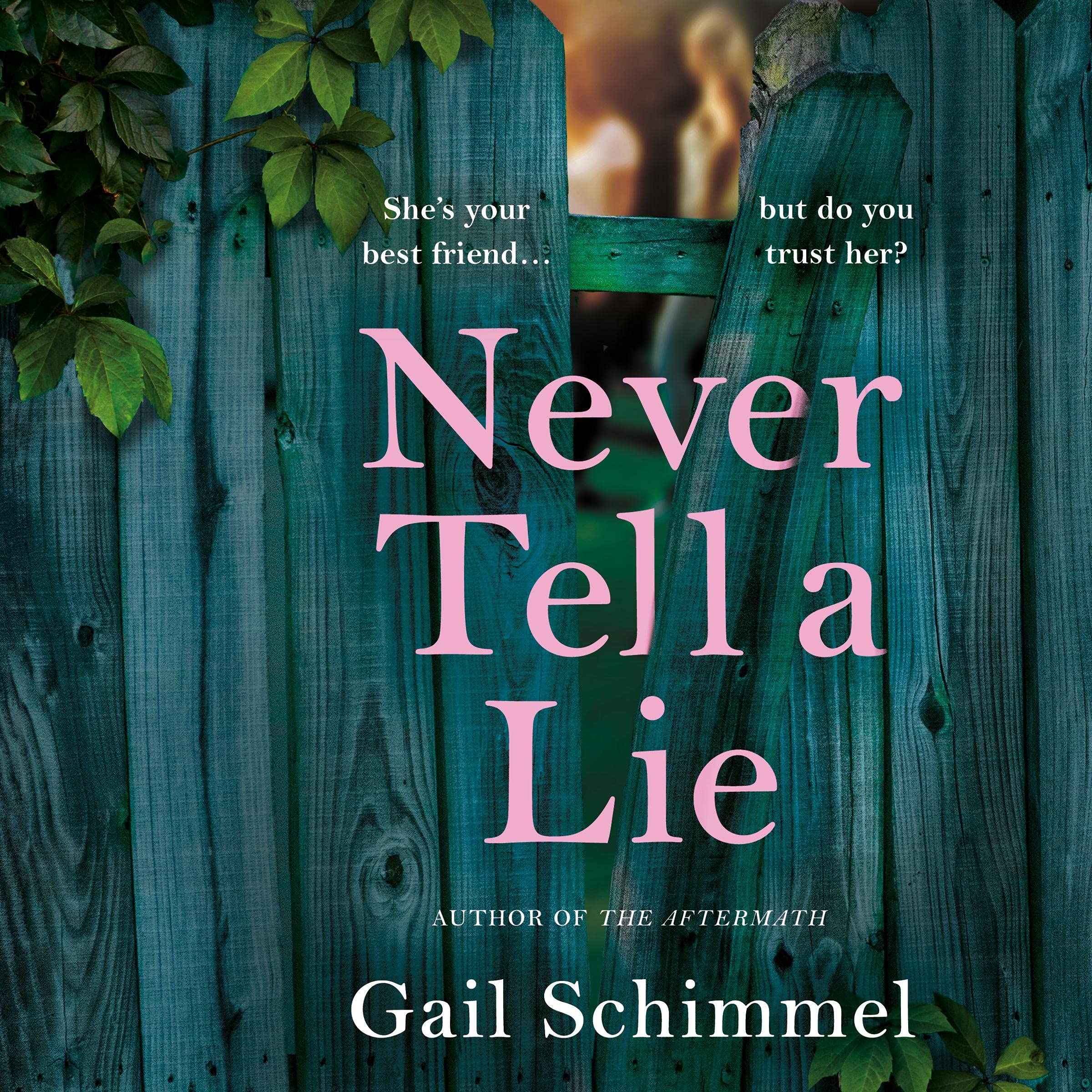 Cover art for Never Tell a Lie